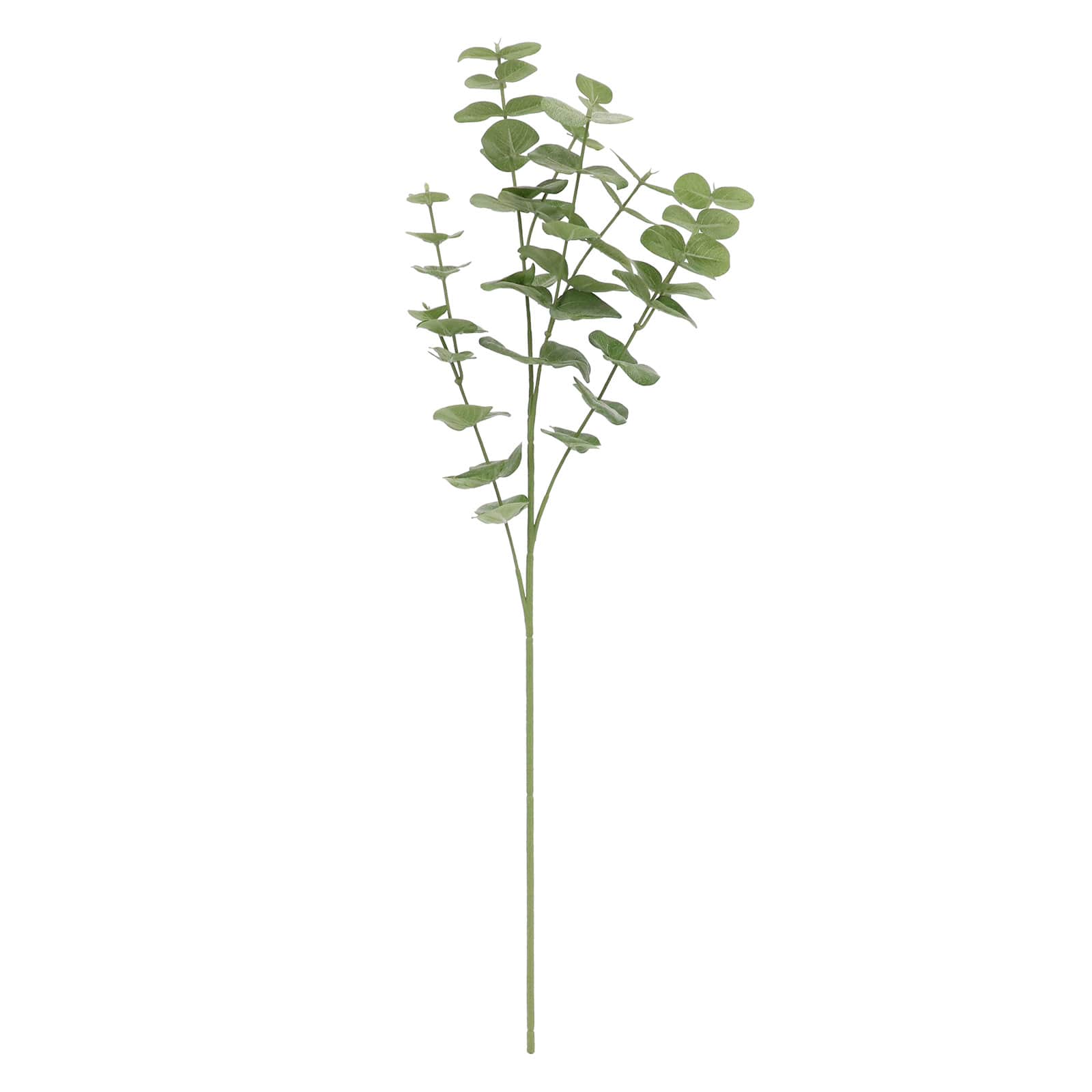 12 Pack: 29" Green Gunni Eucalyptus Stem by Ashland®