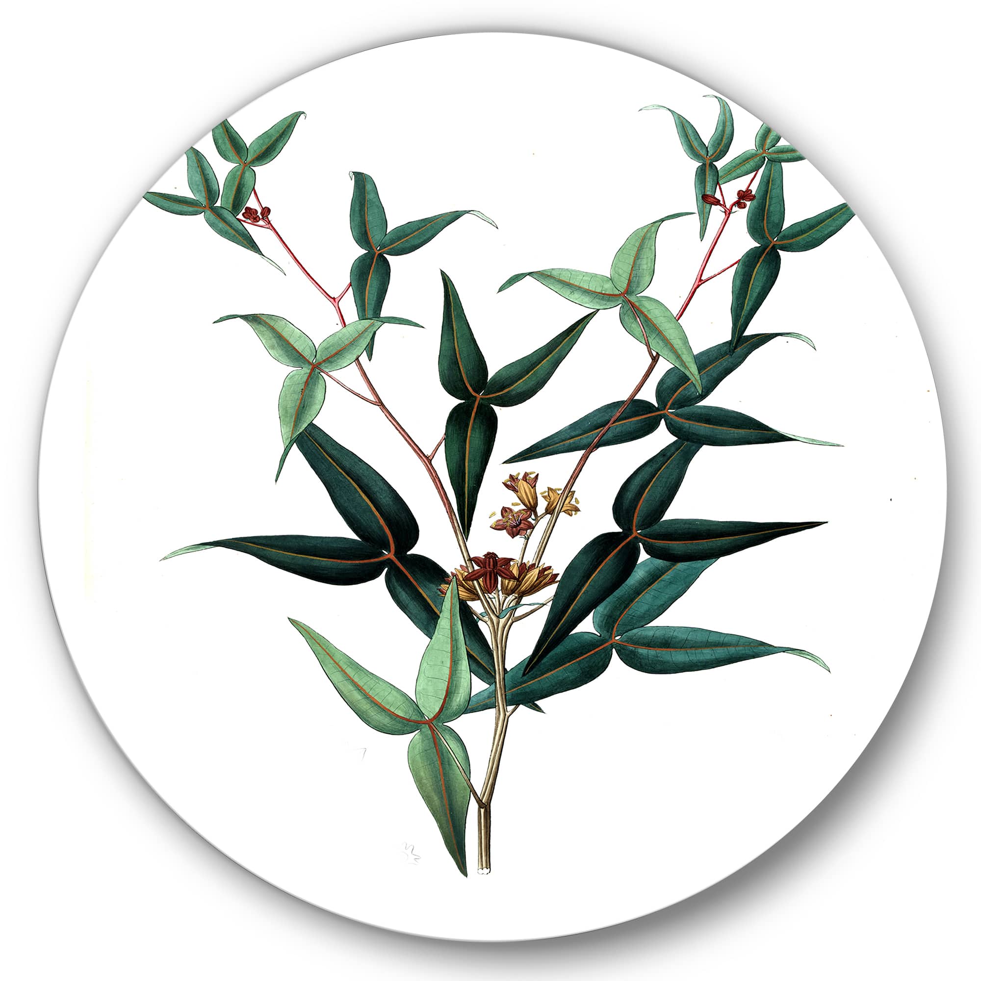 Designart - Vintage Green Leaves Plants VIII - Traditional Metal Circle Wall Art