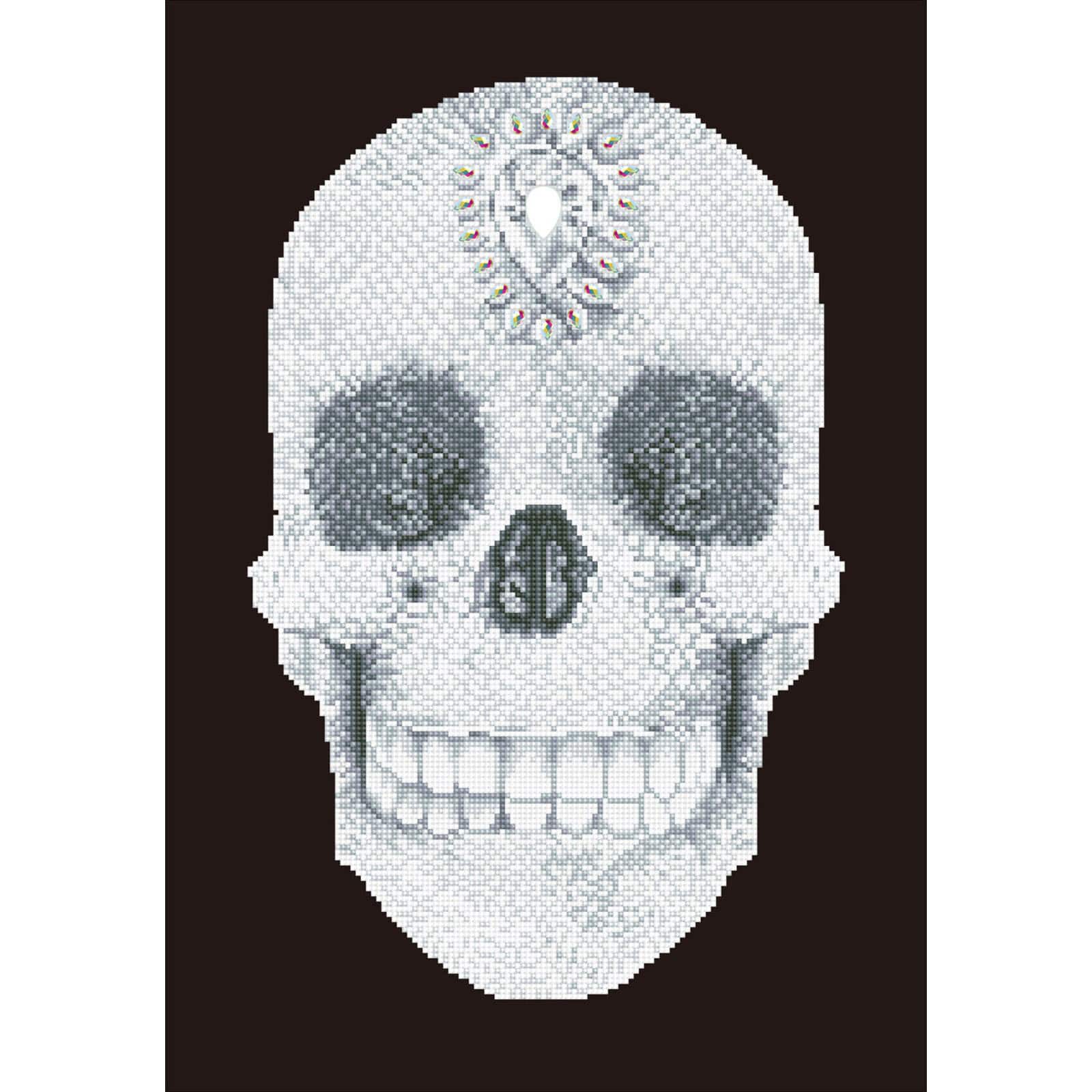 Diamond Dotz® Crystal Skull Diamond Painting Kit