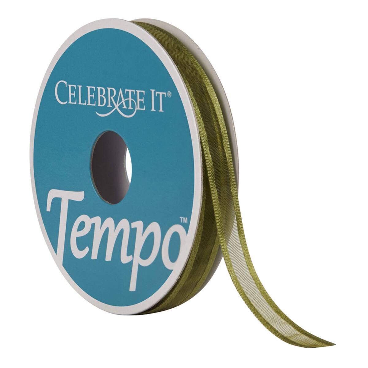 18 Pack: 3/8" Sheer Ribbon by Celebrate It® Tempo™