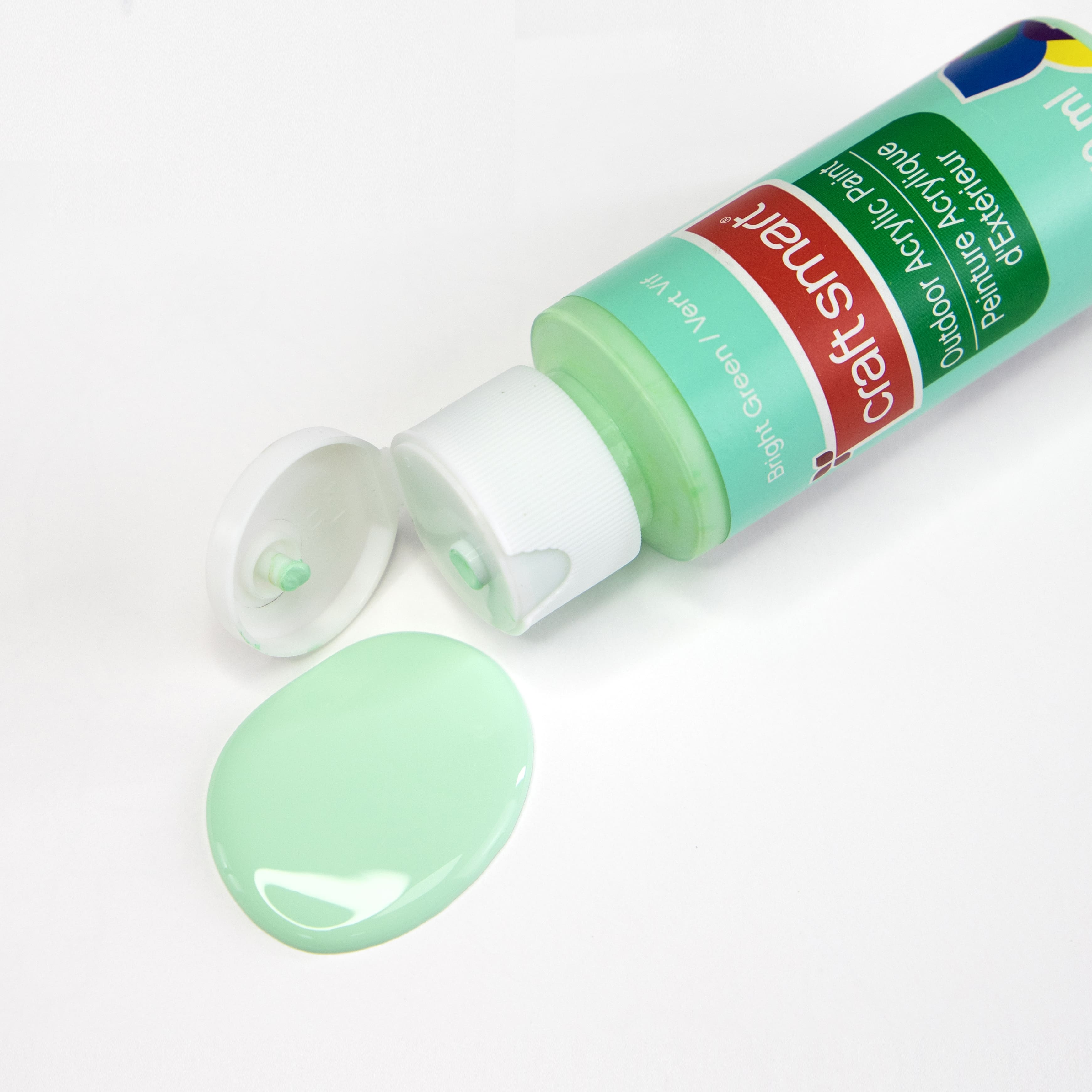 12 Pack: 2oz. Bright Outdoor Acrylic Paint by Craft Smart®