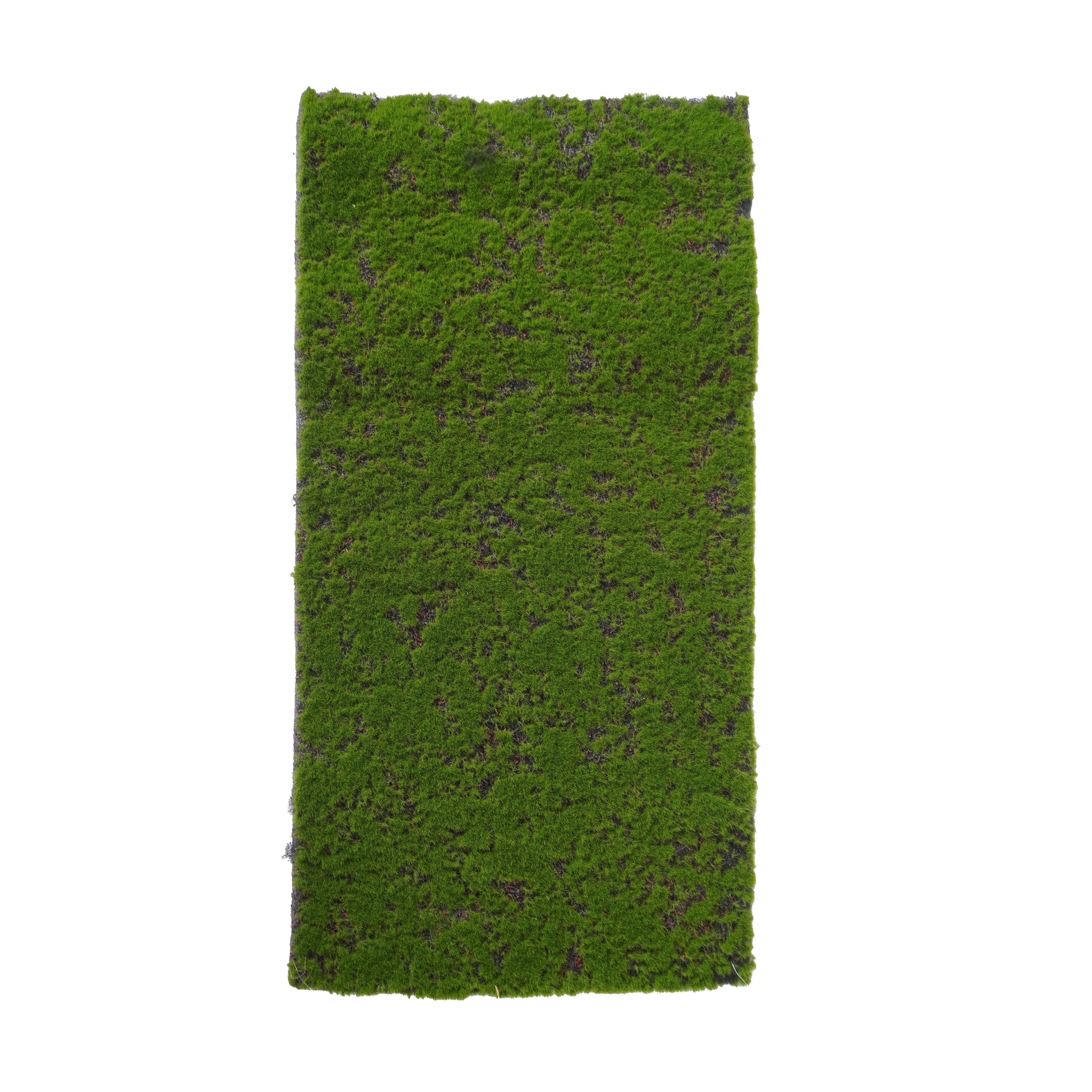 12&#x22; x 23.5&#x22; Faux Moss Mat by Ashland&#xAE;