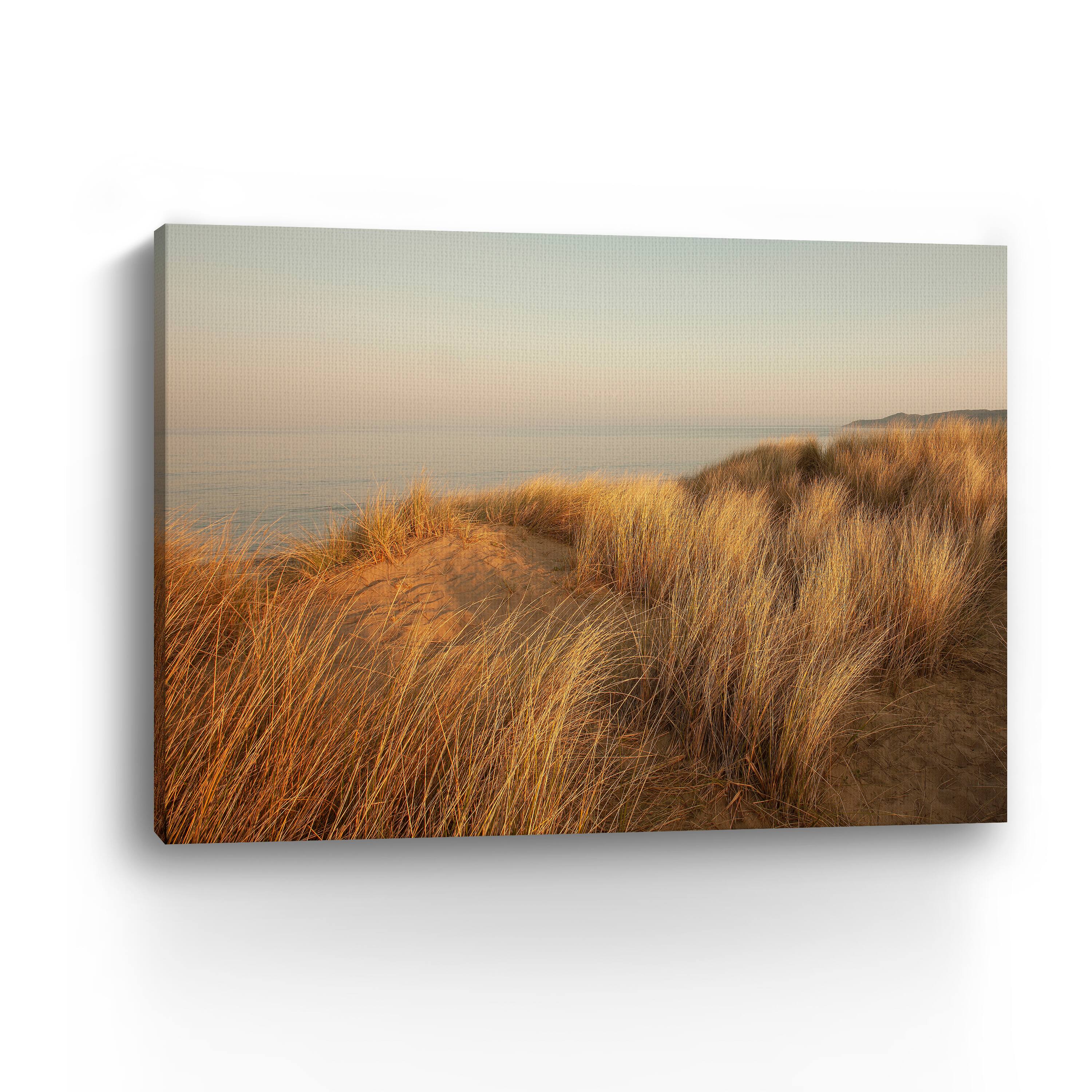 Dunes with Seagulls 7 Canvas Giclee