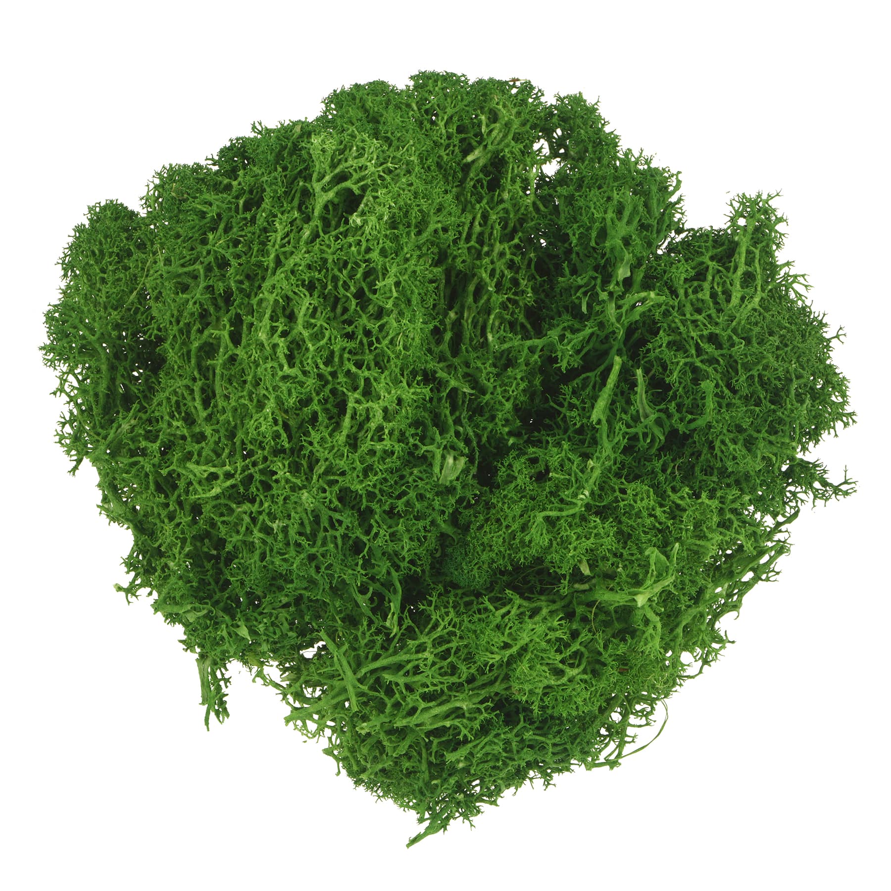 1.7oz. Dark Green Moss by Ashland&#xAE;