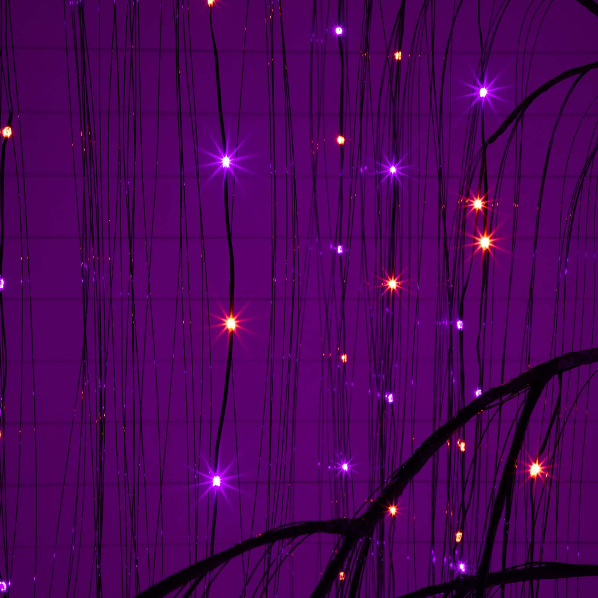 7ft. Pre-Lit Artificial Halloween Black Willow Tree with 600 Purple and Orange Dual Color LED Lights
