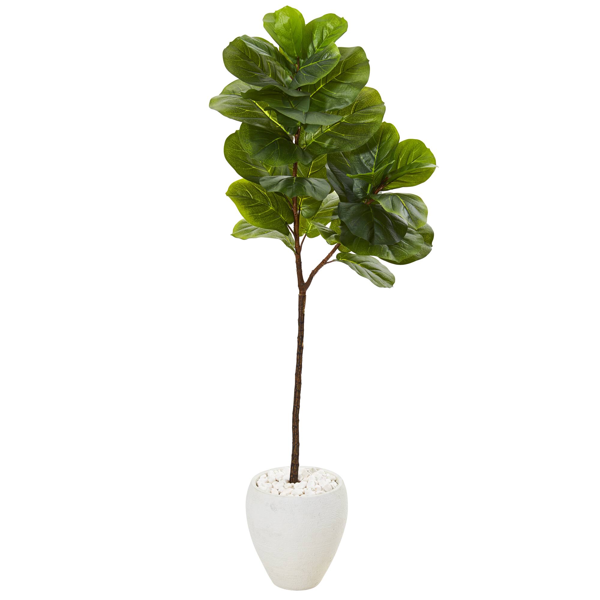 5ft. Fiddle Leaf Tree in White Planter