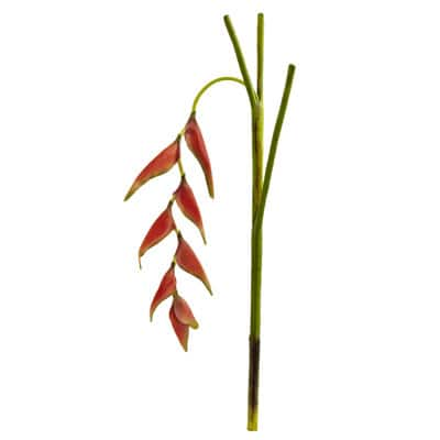 Orange Hanging Lobster Claw Flower, 4ct. | Michaels