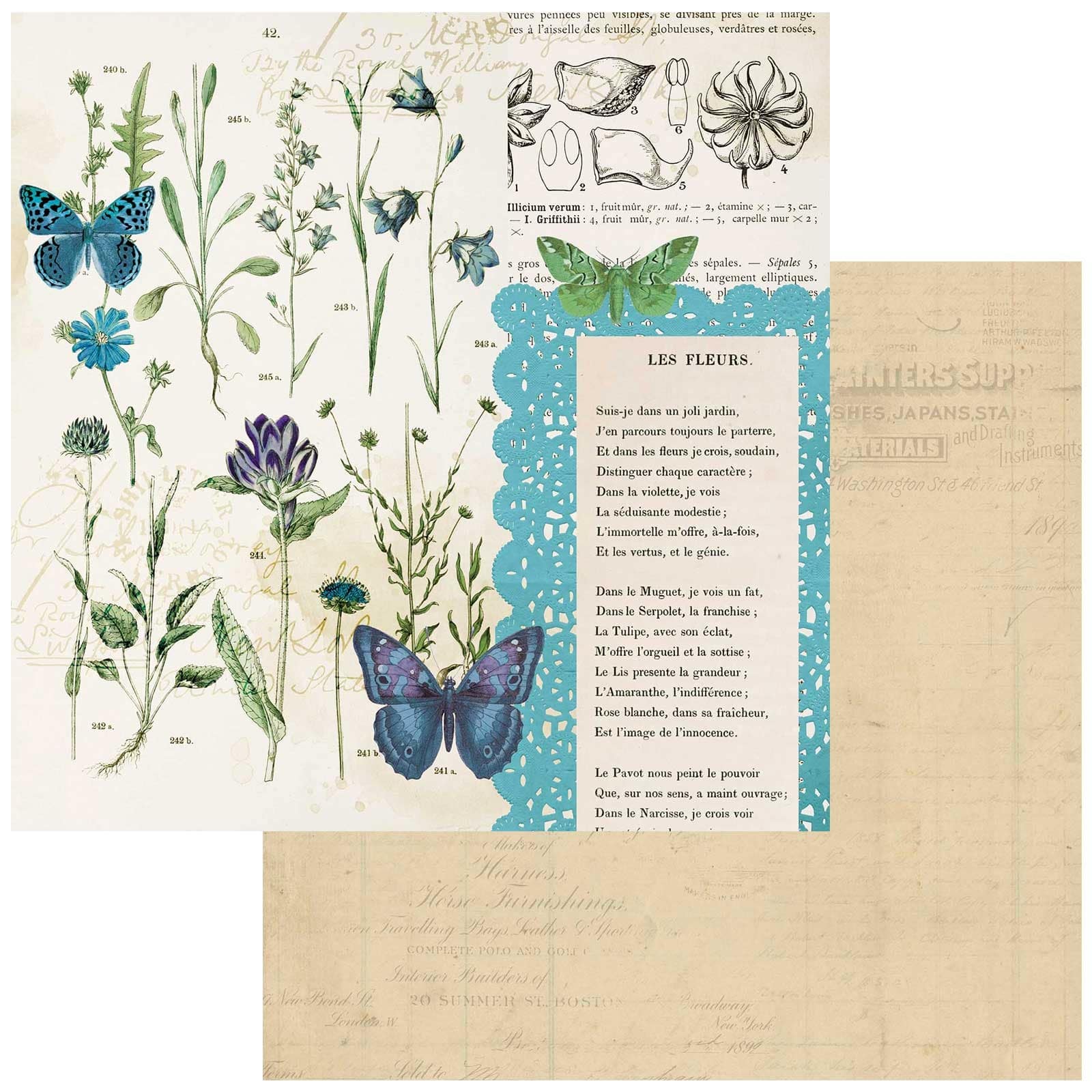 49 and Market Curators Botanical Collection Les Fleurs 12&#x22; x 12&#x22; Double-Sided Cardstock, 20 Sheets 