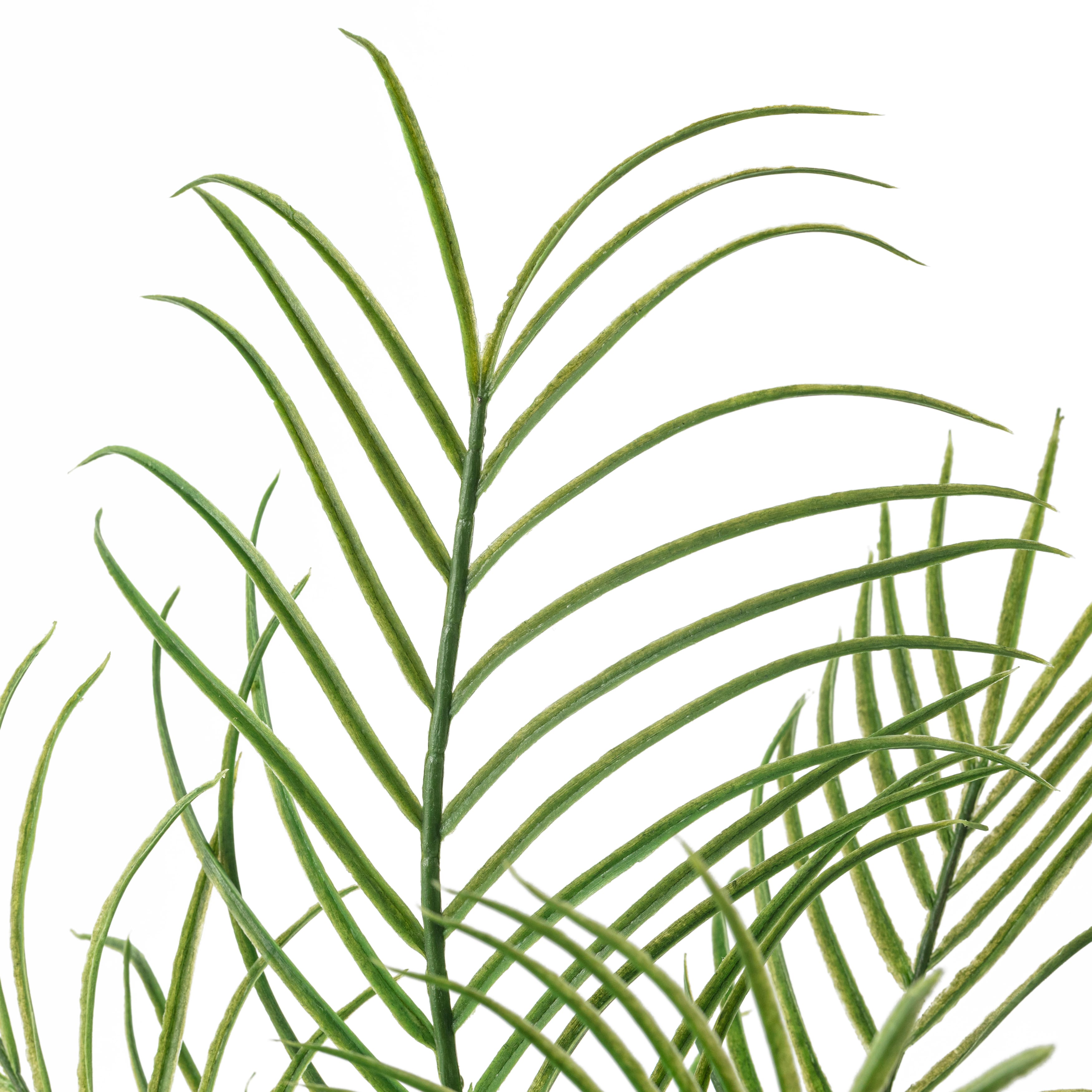 Palm Plant Bush by Ashland®