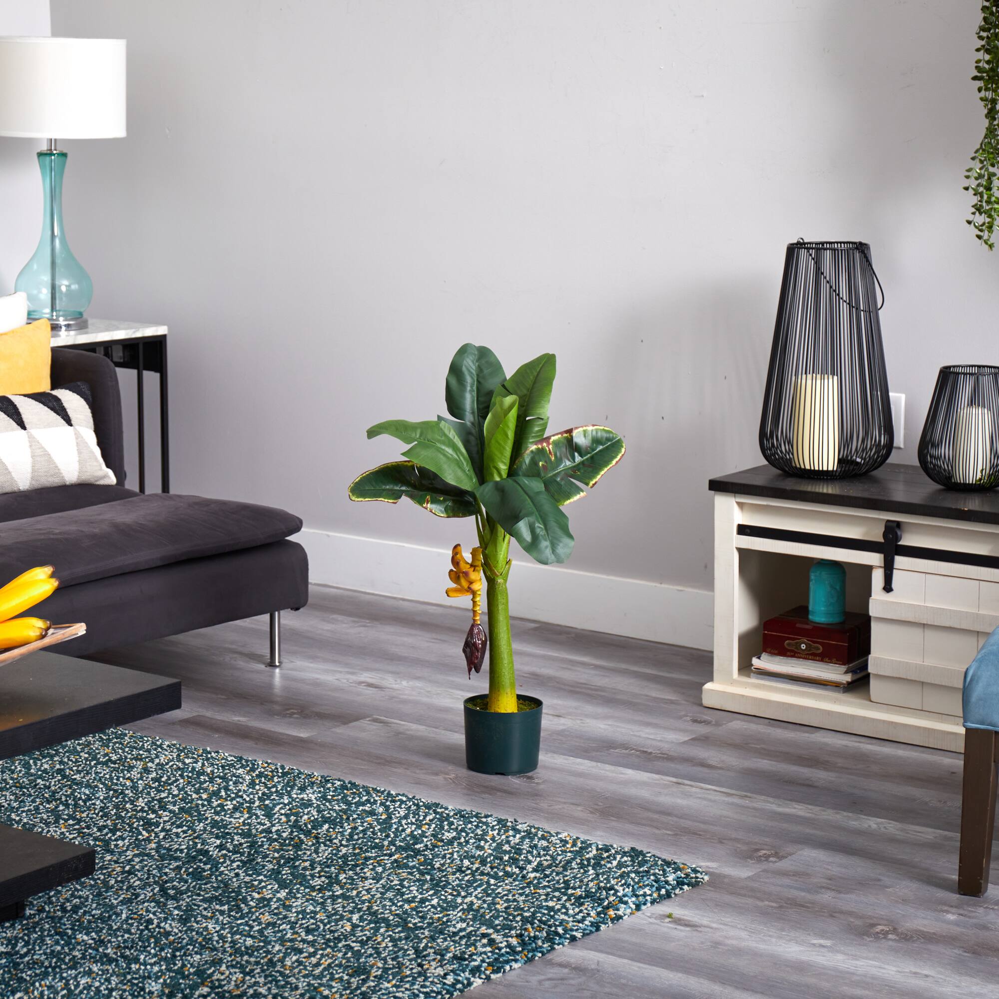 3ft. Potted Banana Tree