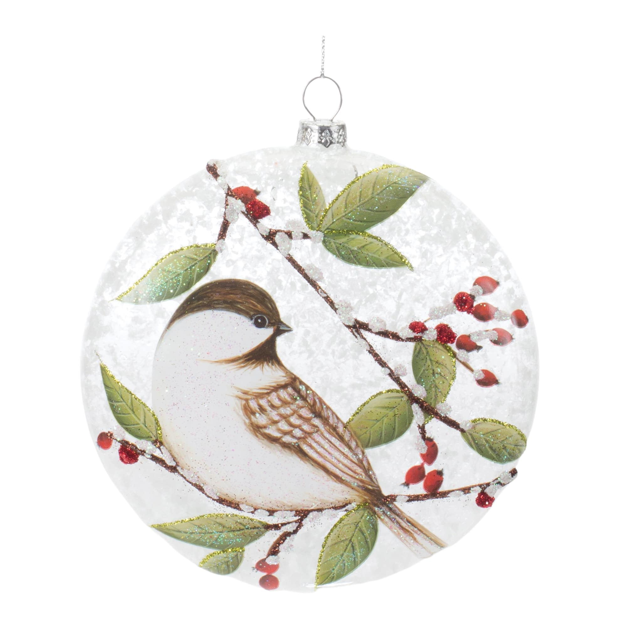 6ct. 5&#x22; Glass Chickadee Bird Ball Ornament