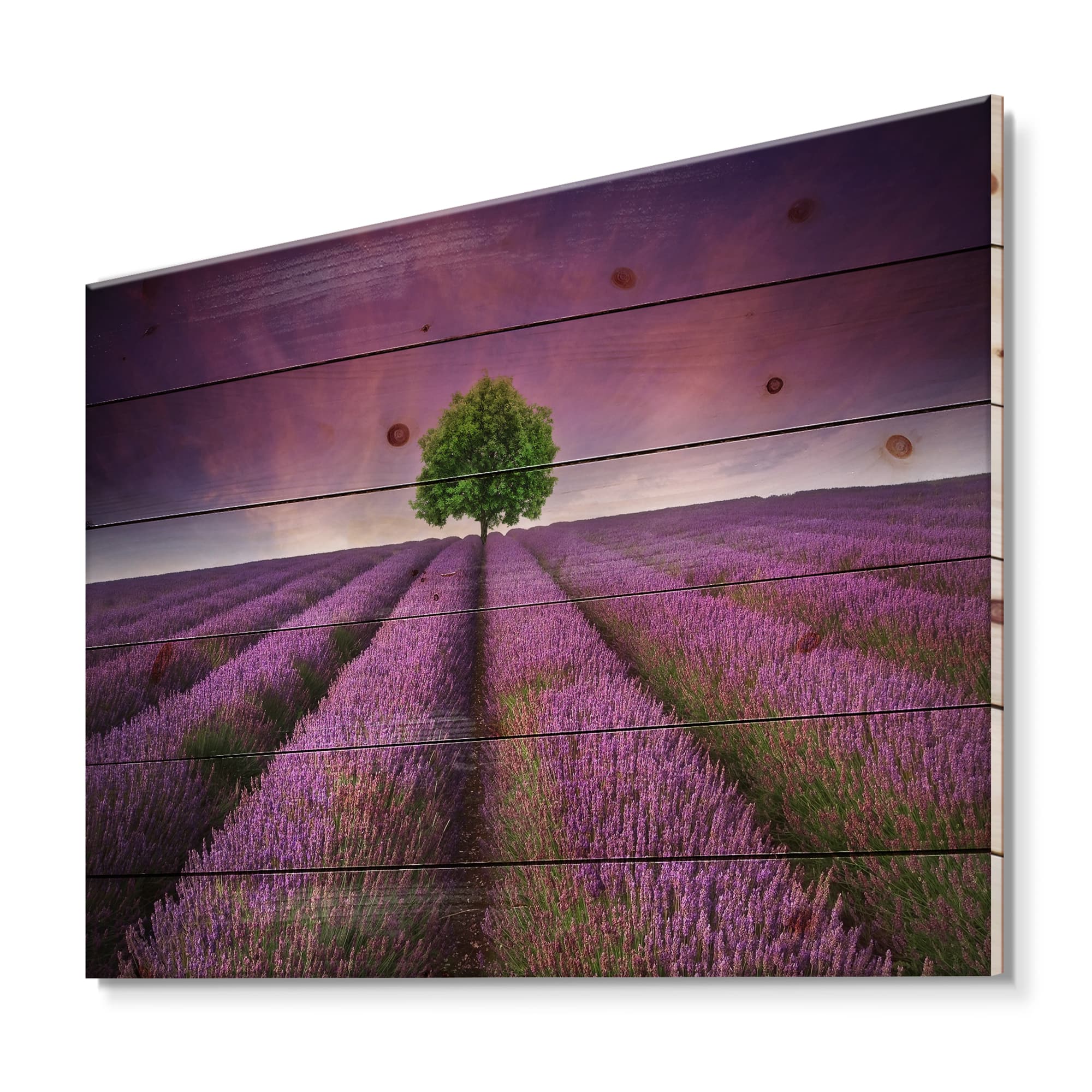 Designart - Stunning Lavender Field Summer Sunset With Tree - Farmhouse Print on Natural Pine Wood