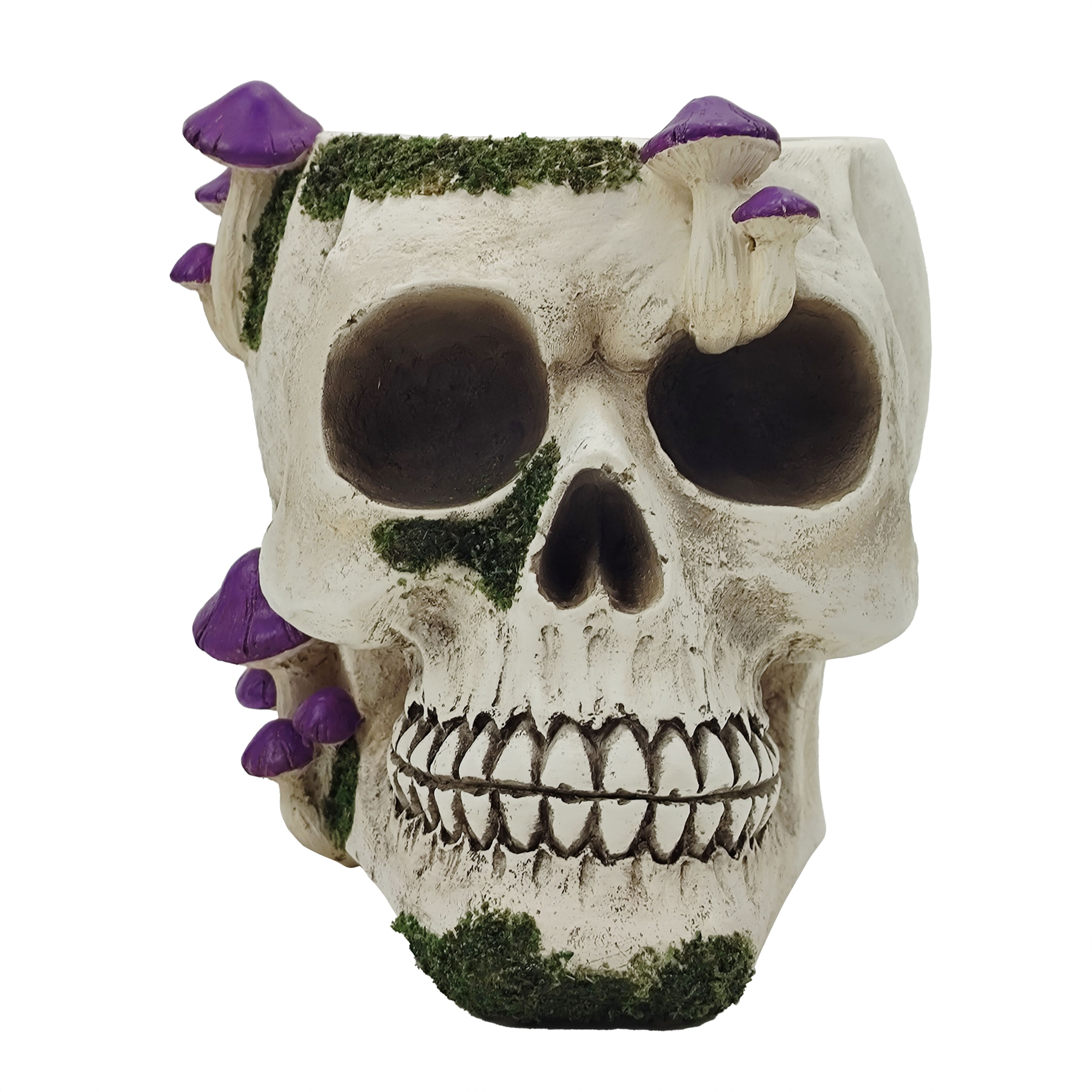 6.5&#x22; Mushroom Skull Container by Ashland&#xAE;