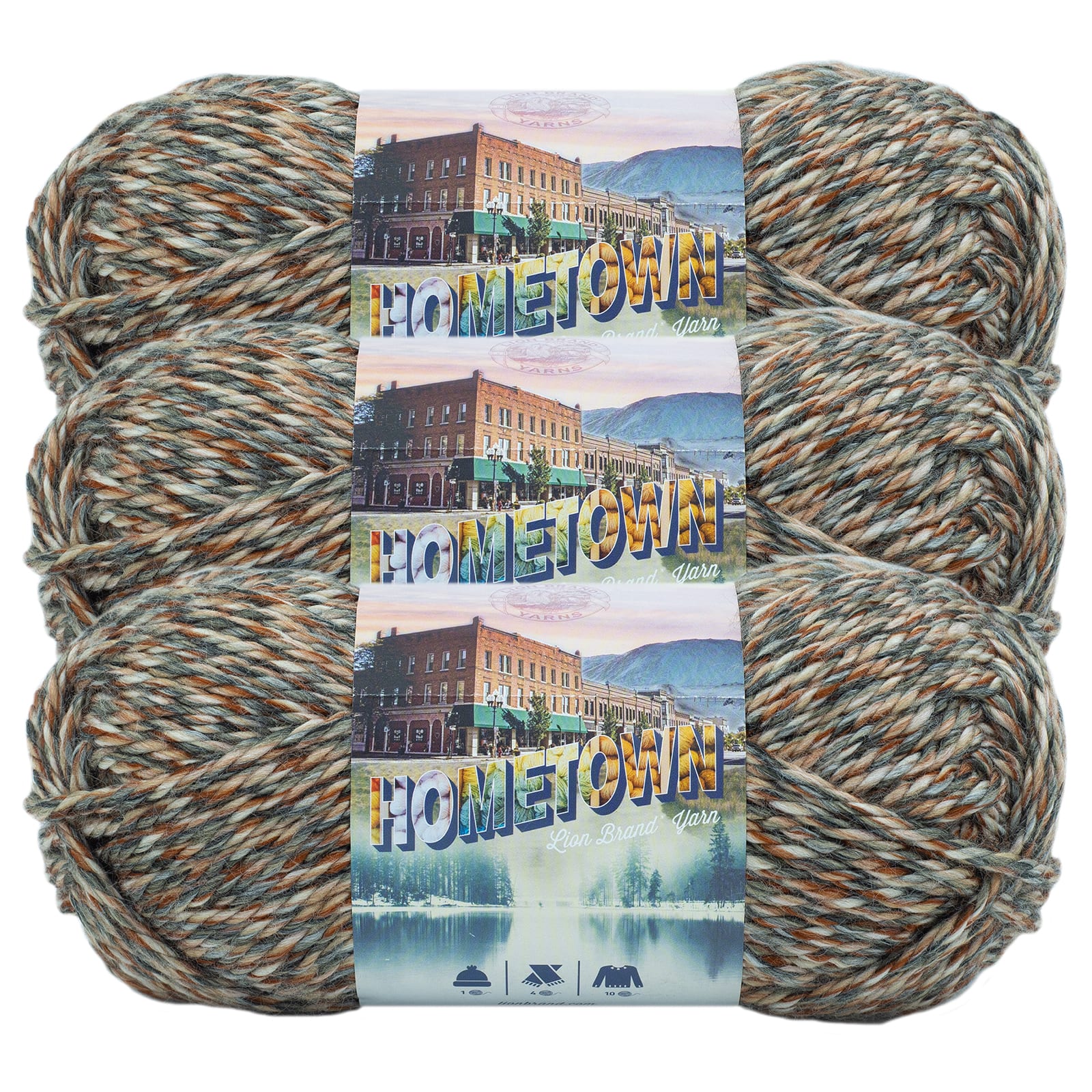 3 Pack Lion Brand® Hometown Variegates Yarn