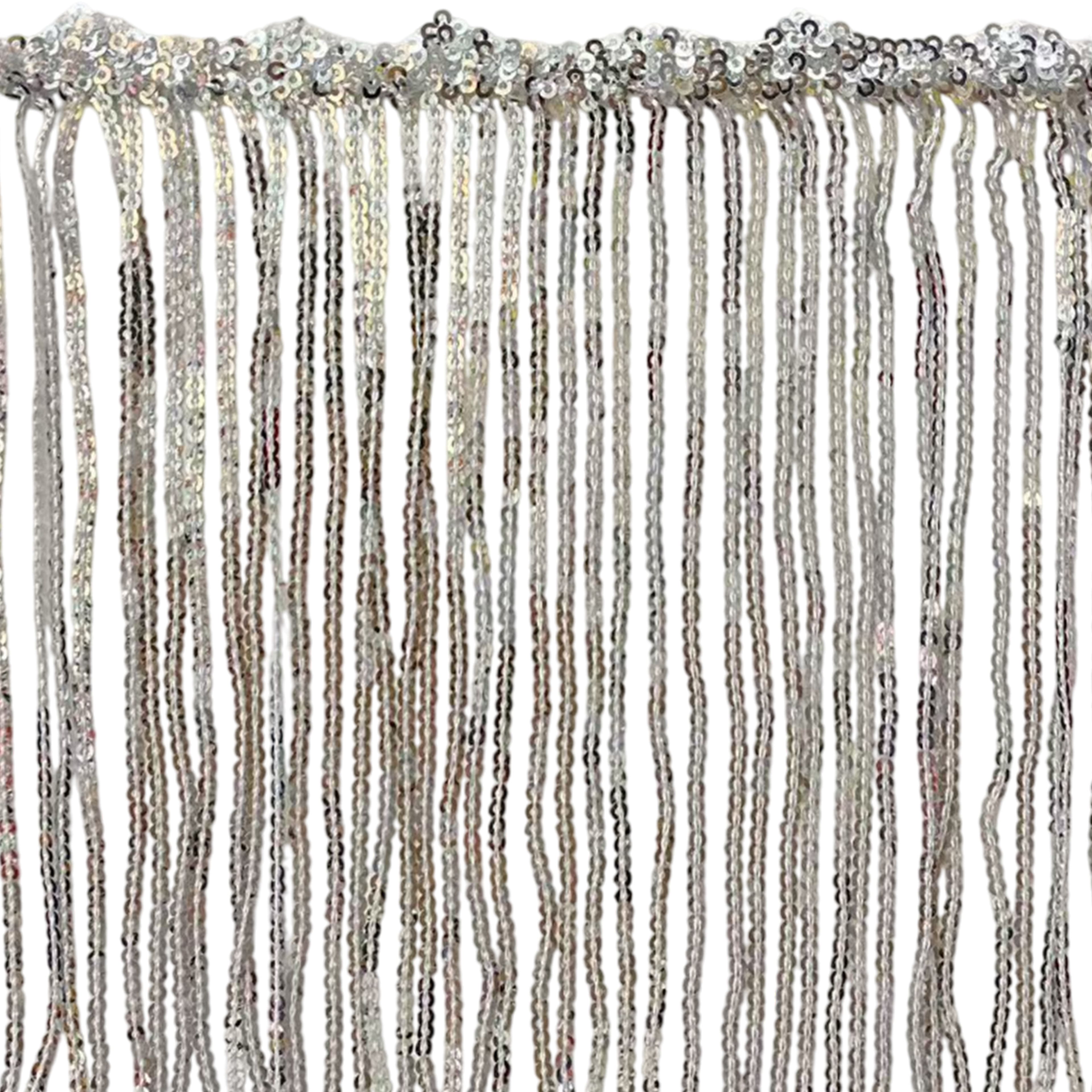 6.5&#x22; Sequin Fringe Trim by Celebrate It&#xAE;