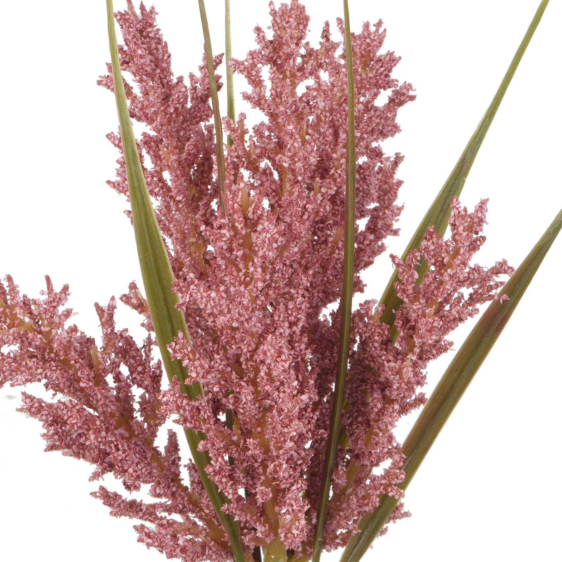 12&#x22; Mini Foxtail Bundle by Ashland&#xAE;