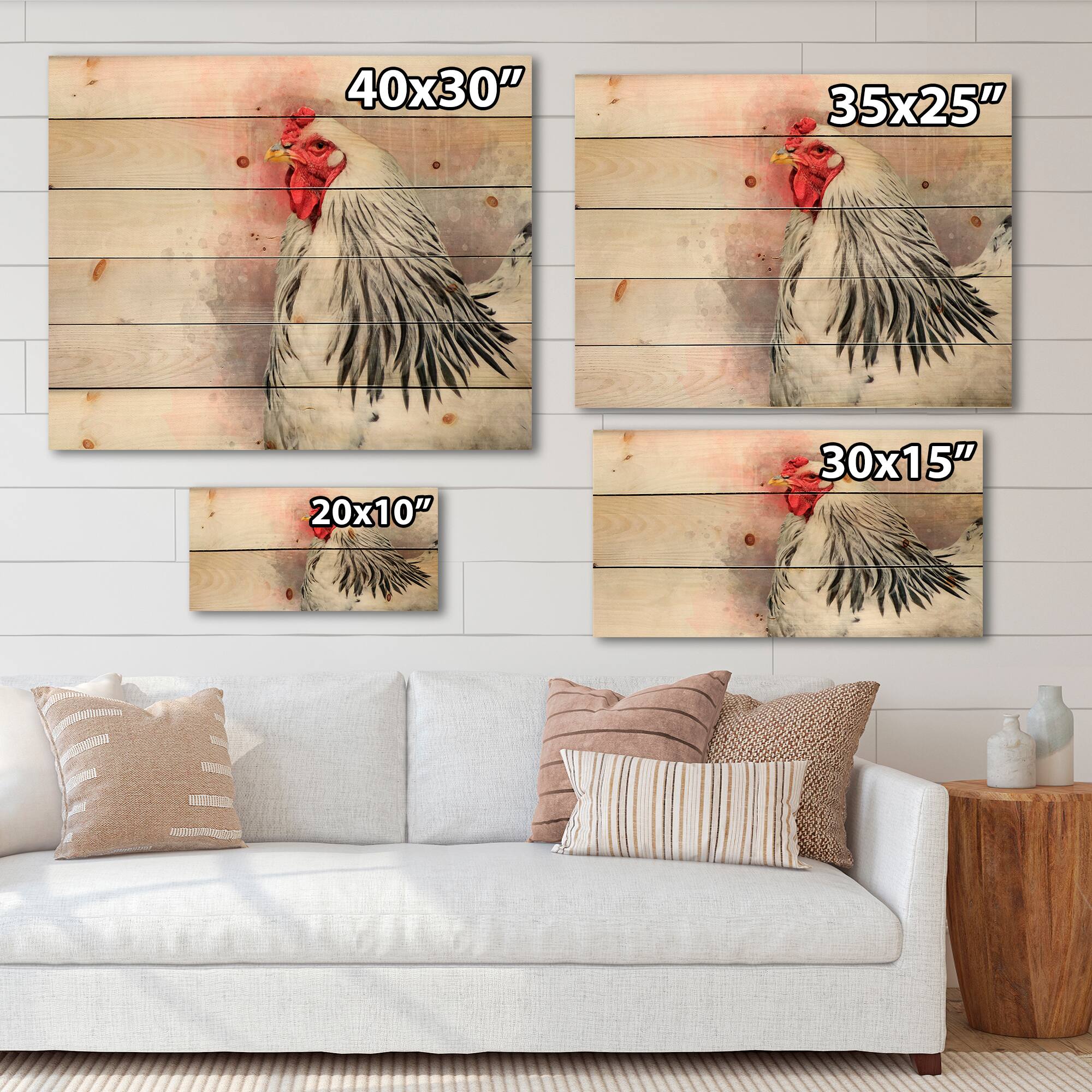 Designart - White Columbia Brahma Rooster Bird - Traditional Print on Natural Pine Wood