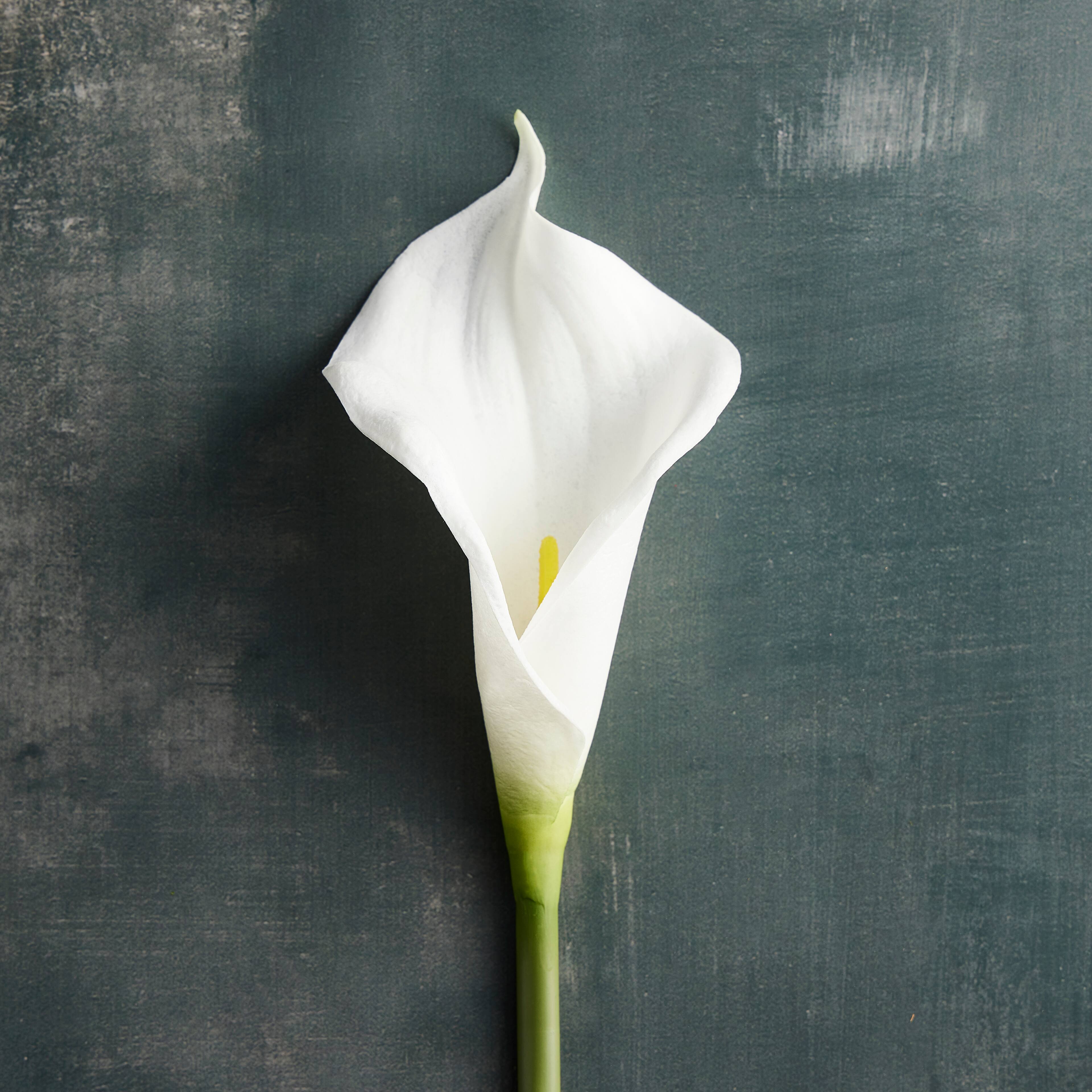 White Calla Lily Stem by Ashland® | Michaels