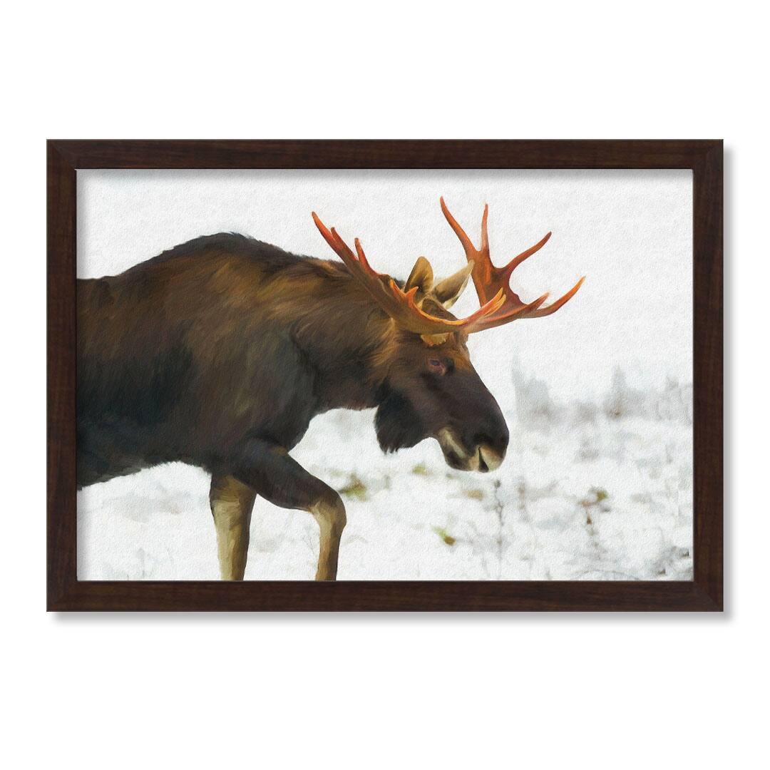 Moose in The Snow Black Framed Print Under Plexiglass