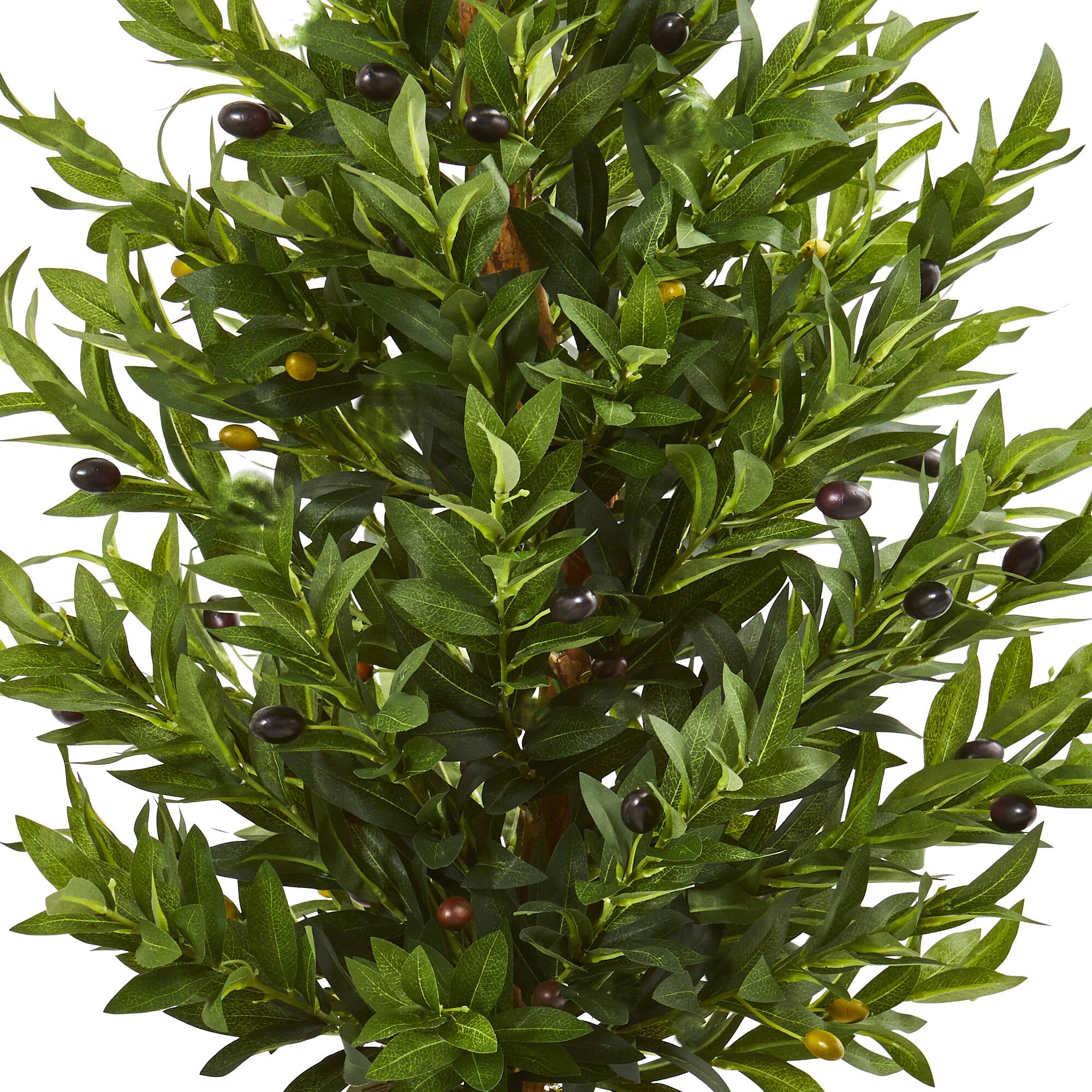 4ft. Green Olive Cone Topiary Tree in Decorative Planter