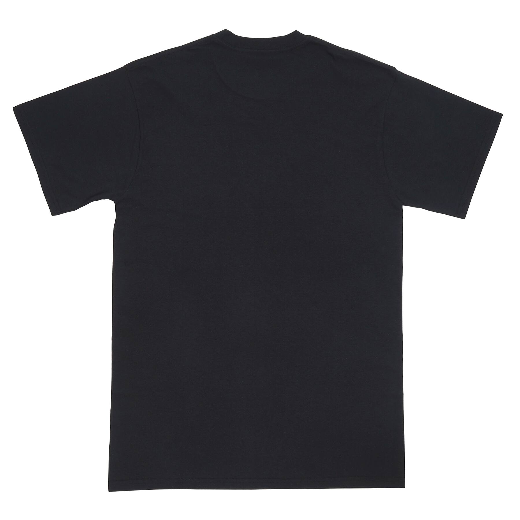 Equal Adult T-Shirt