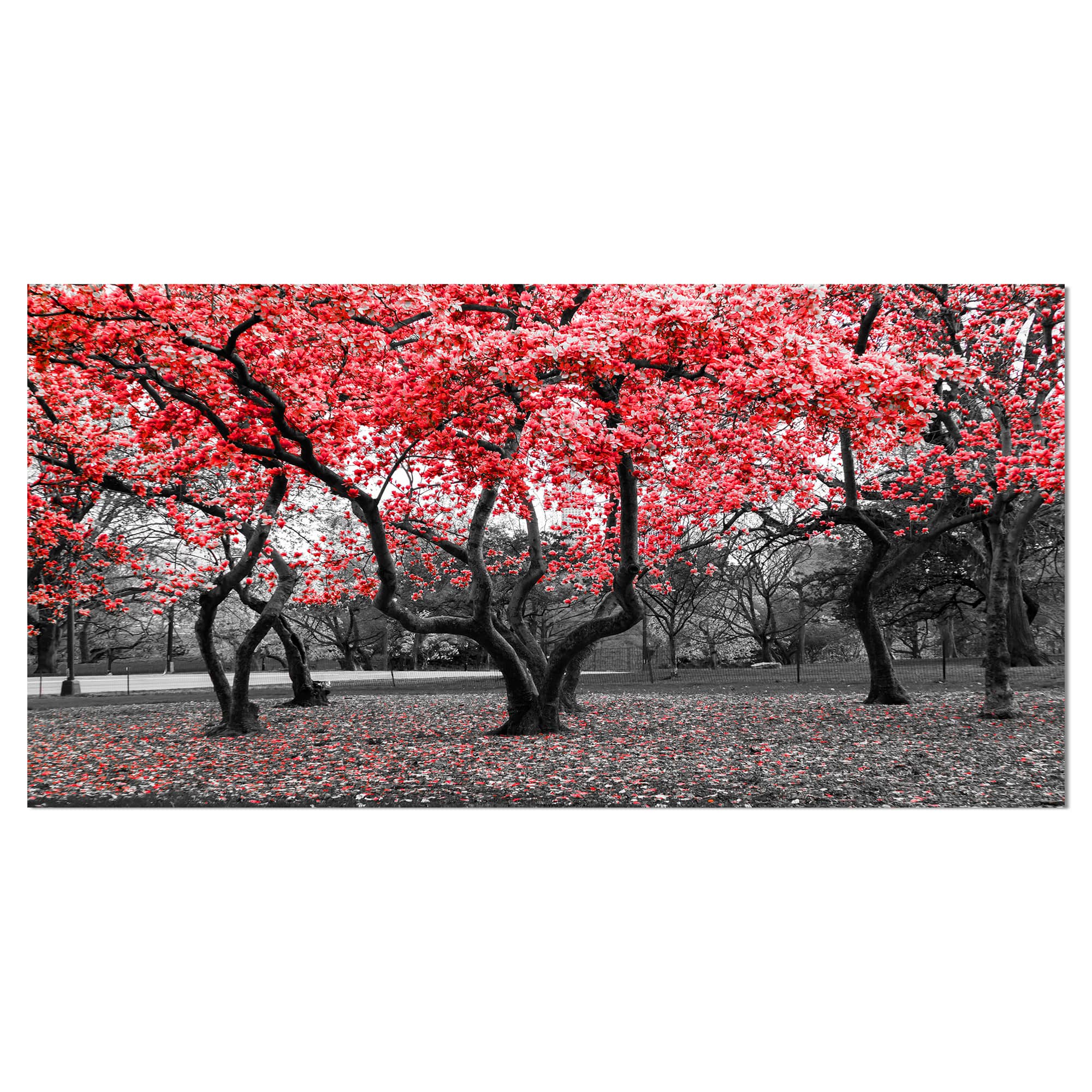 Designart - Red flower Trees Blossom - Floral Landscapes Photographic on wrapped Canvas