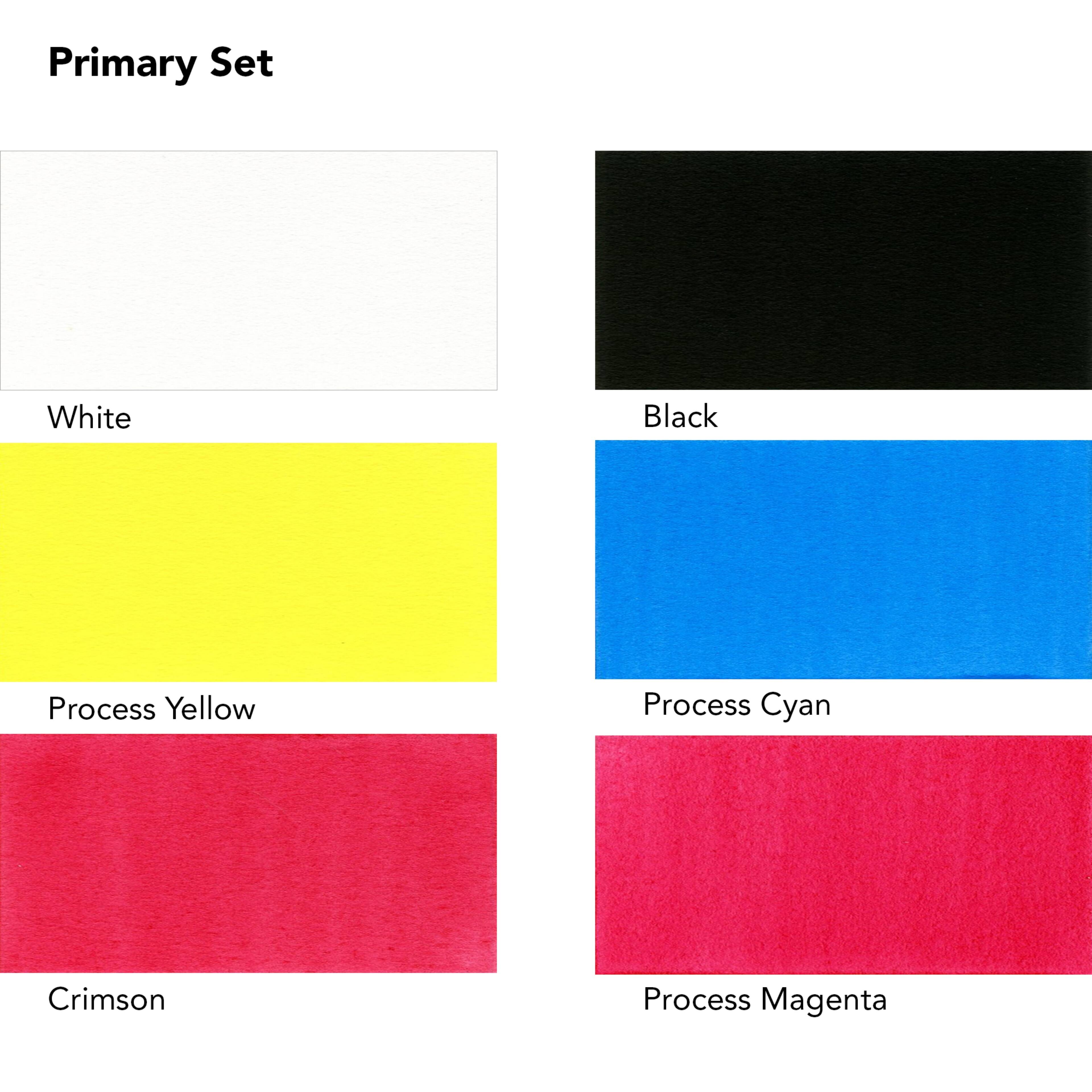 6 Packs: 6 ct. (36 total) Daler-Rowney® FW Acrylic Ink Primary Set with Empty Marker