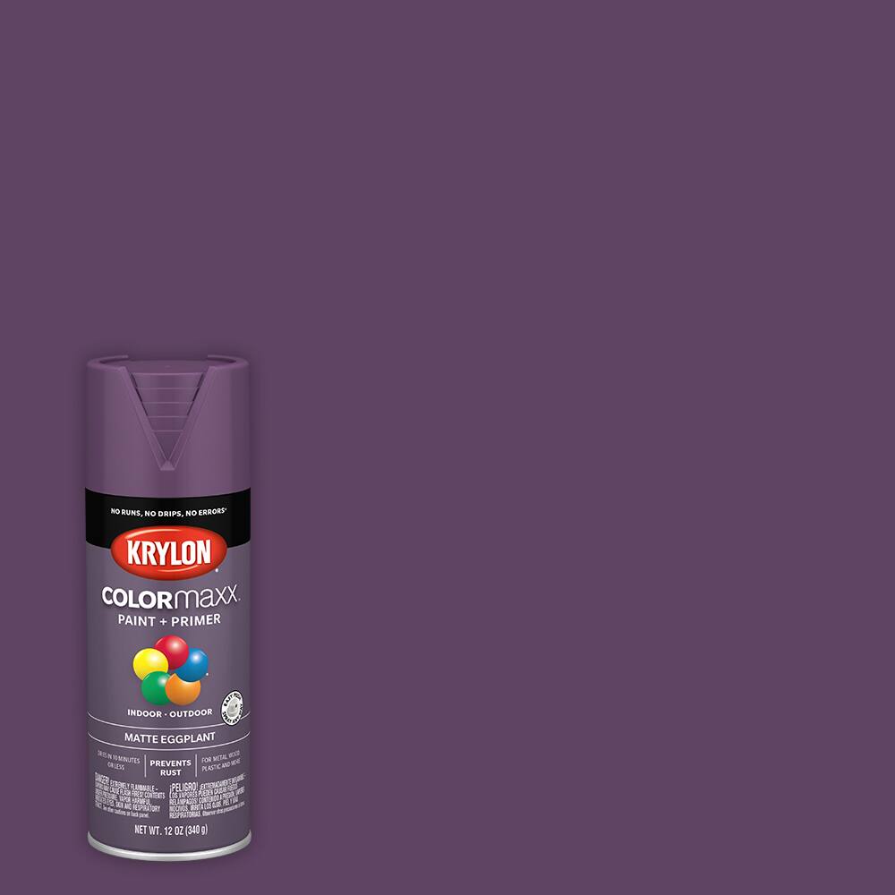 Krylon&#xAE; COLORmaxx&#x2122; Matte Paint + Primer