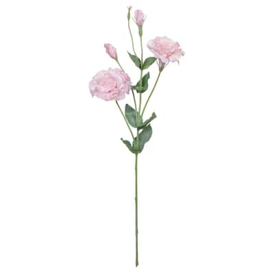 27" Lisianthus  Stem by Ashland® image