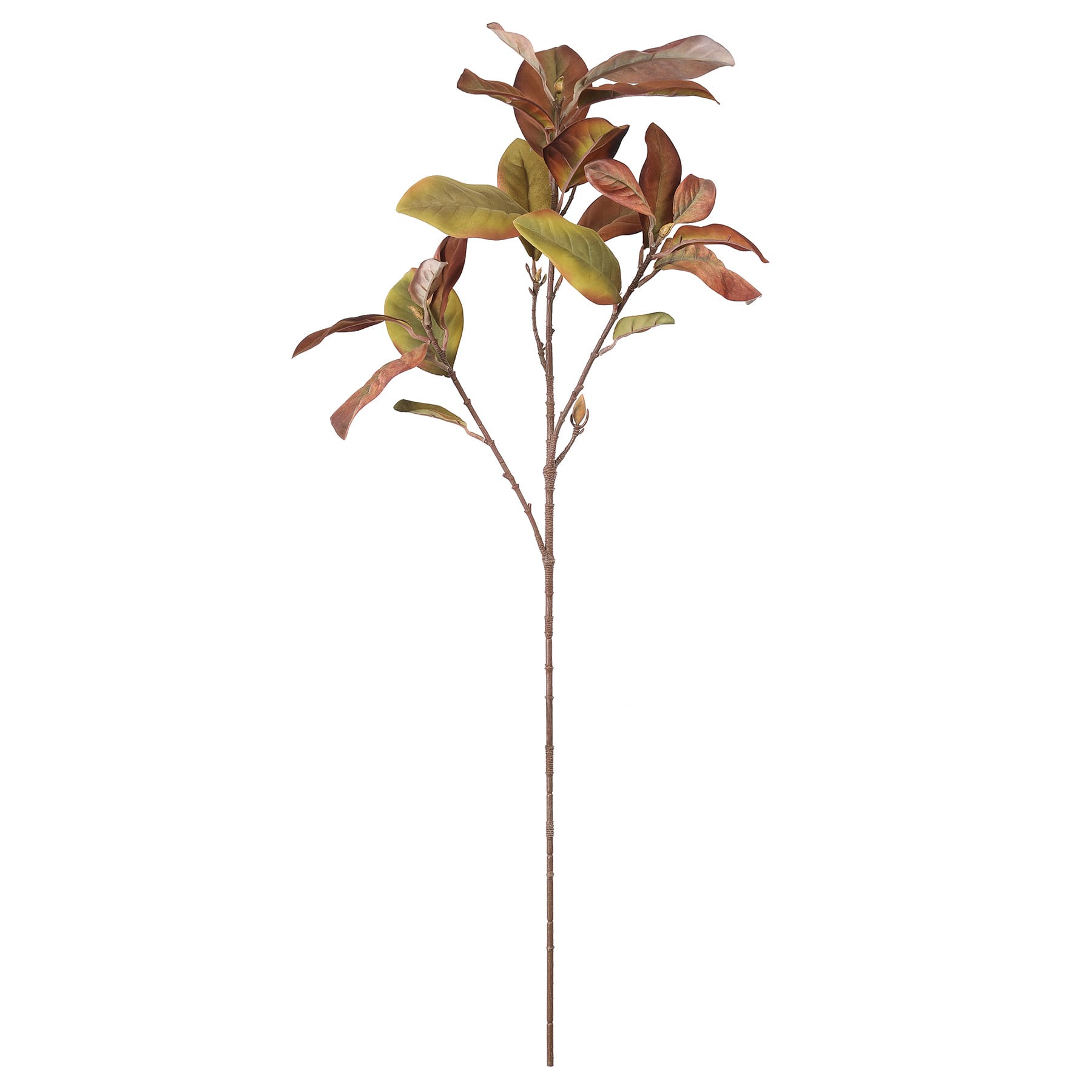 37&#x22; Brown Magnolia Leaf Stem by Ashland&#xAE;