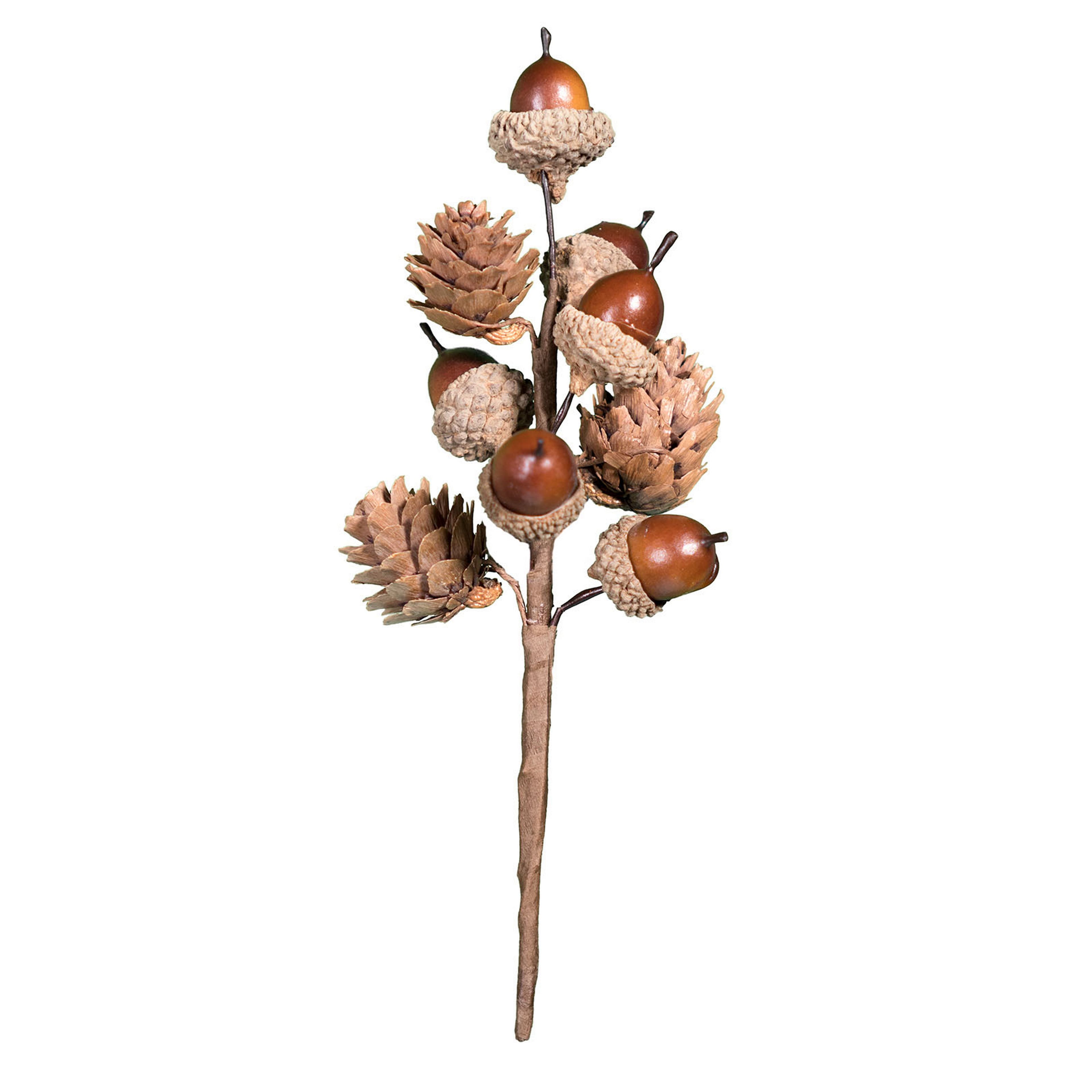 8&#x22; Brown Acorn Pick by Ashland&#xAE;