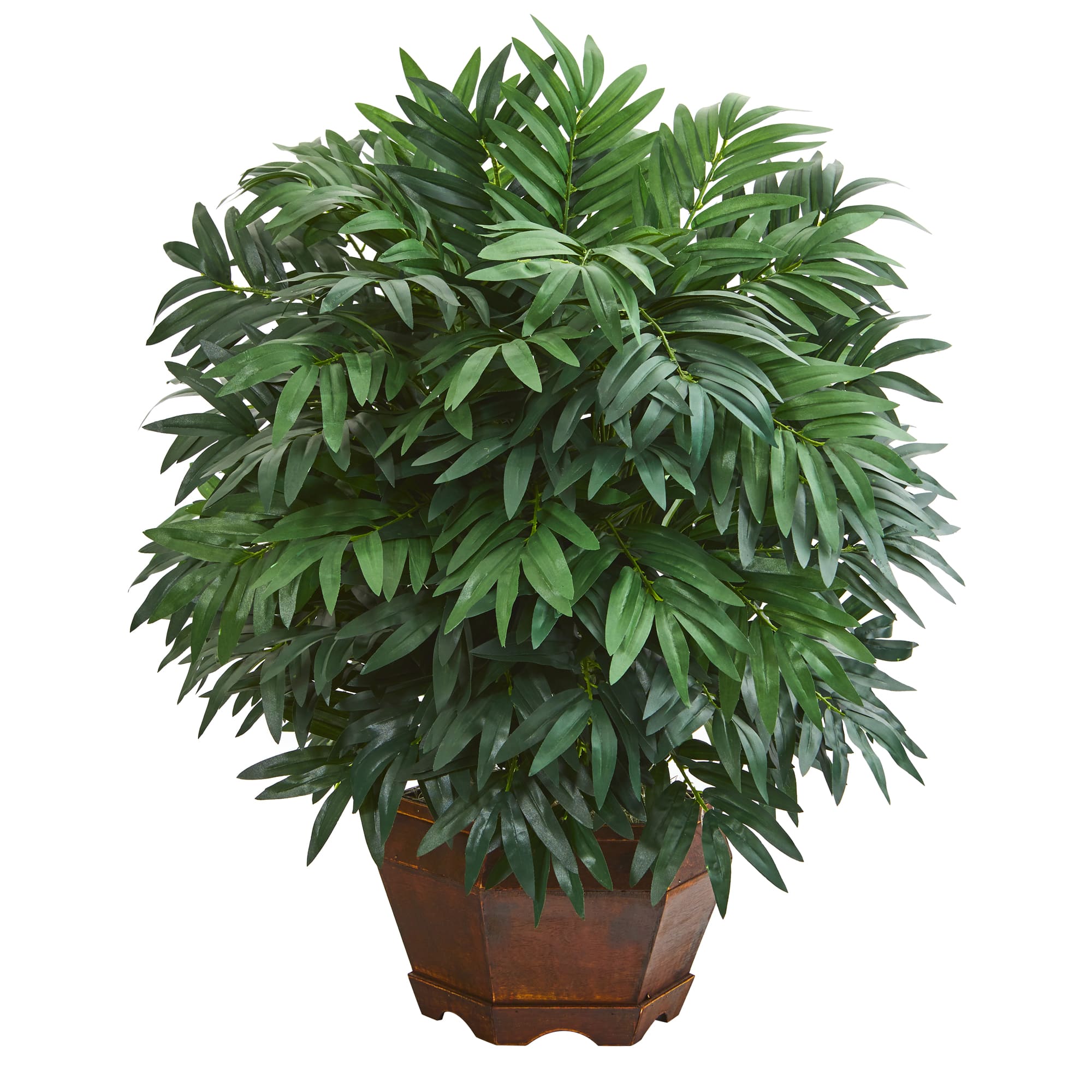 24&#x22; Bamboo Palm Plant in Decorative Planter