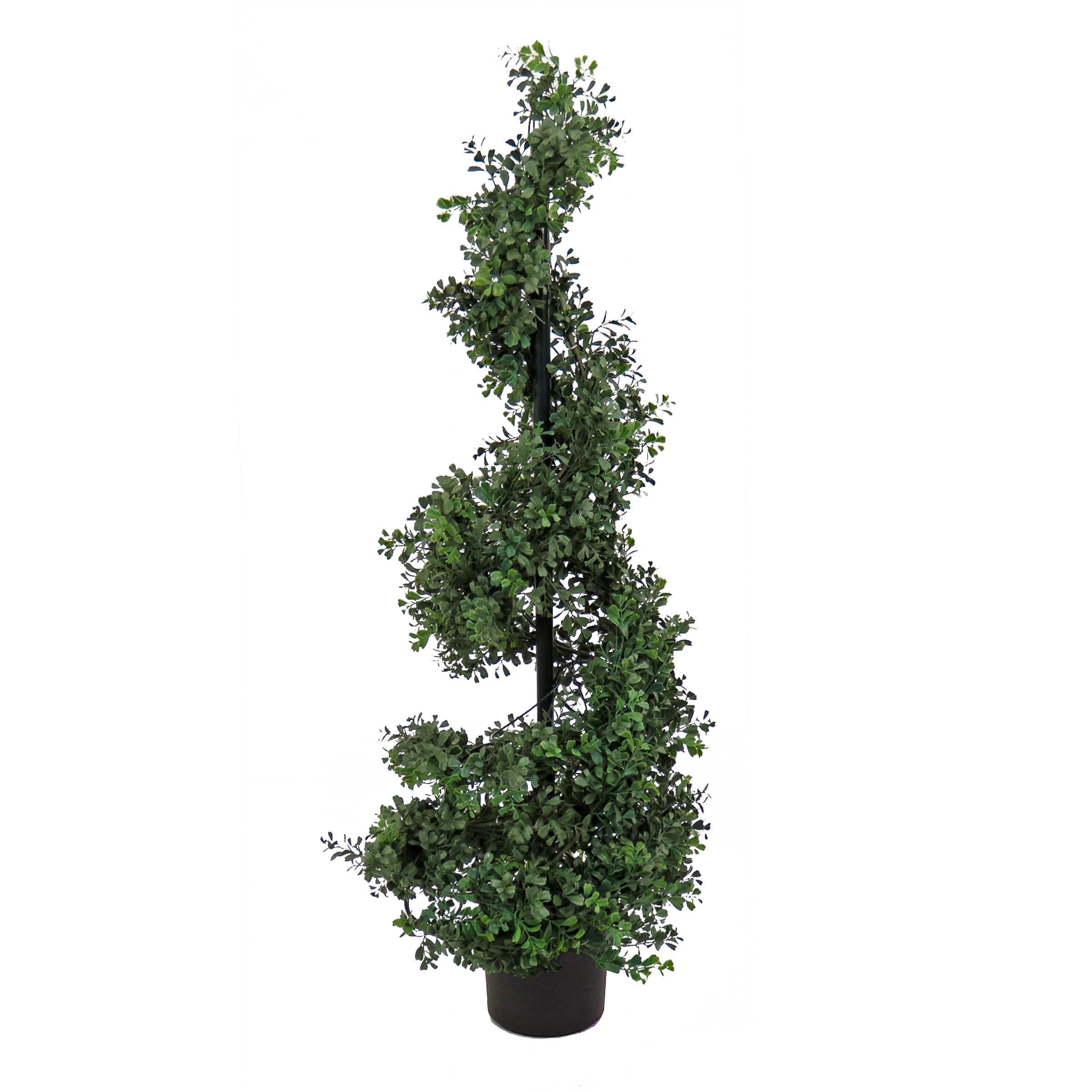 4ft. Boxwood Spiral Topiary In Nursery Pot