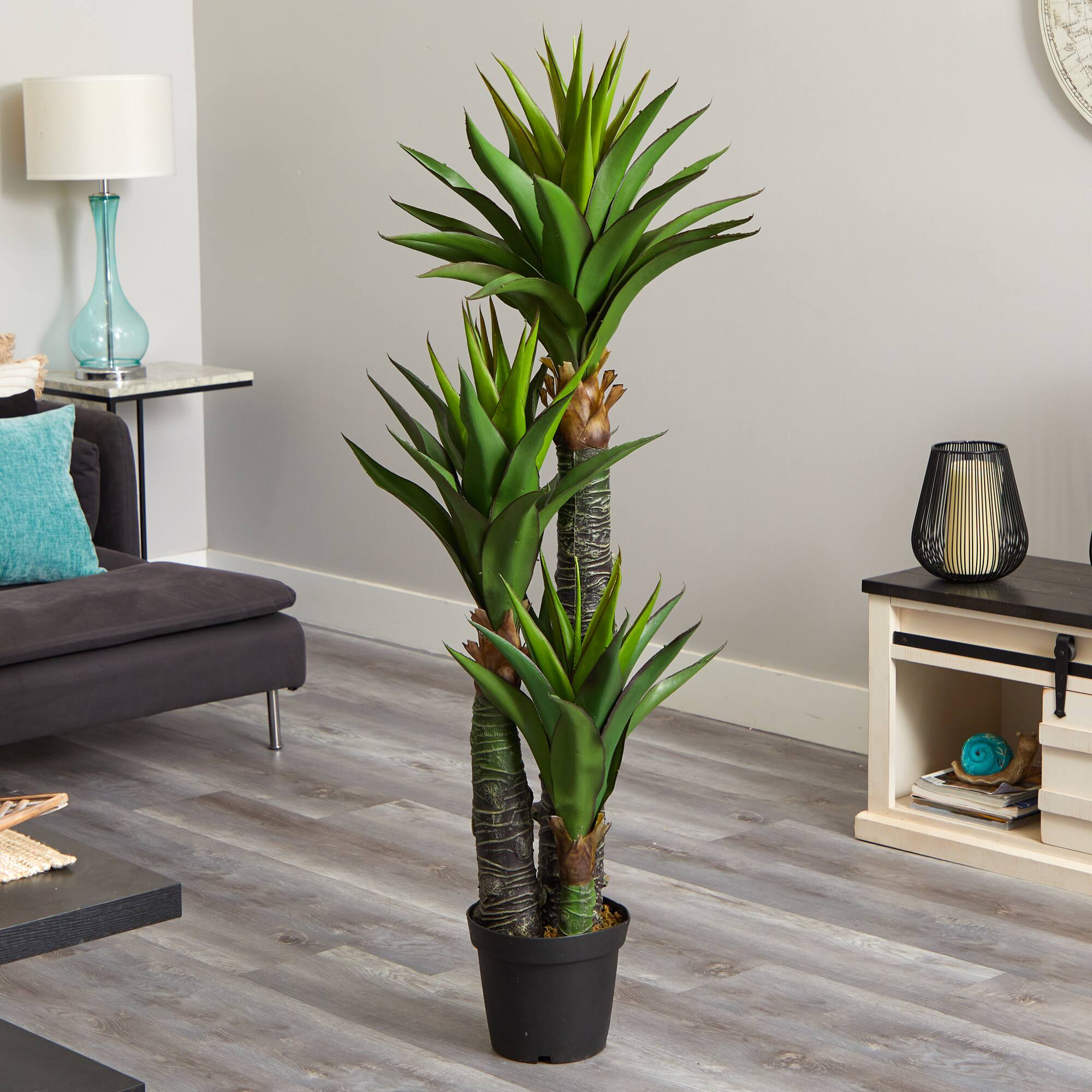 5ft. Potted Triple Stalk Yucca Tree