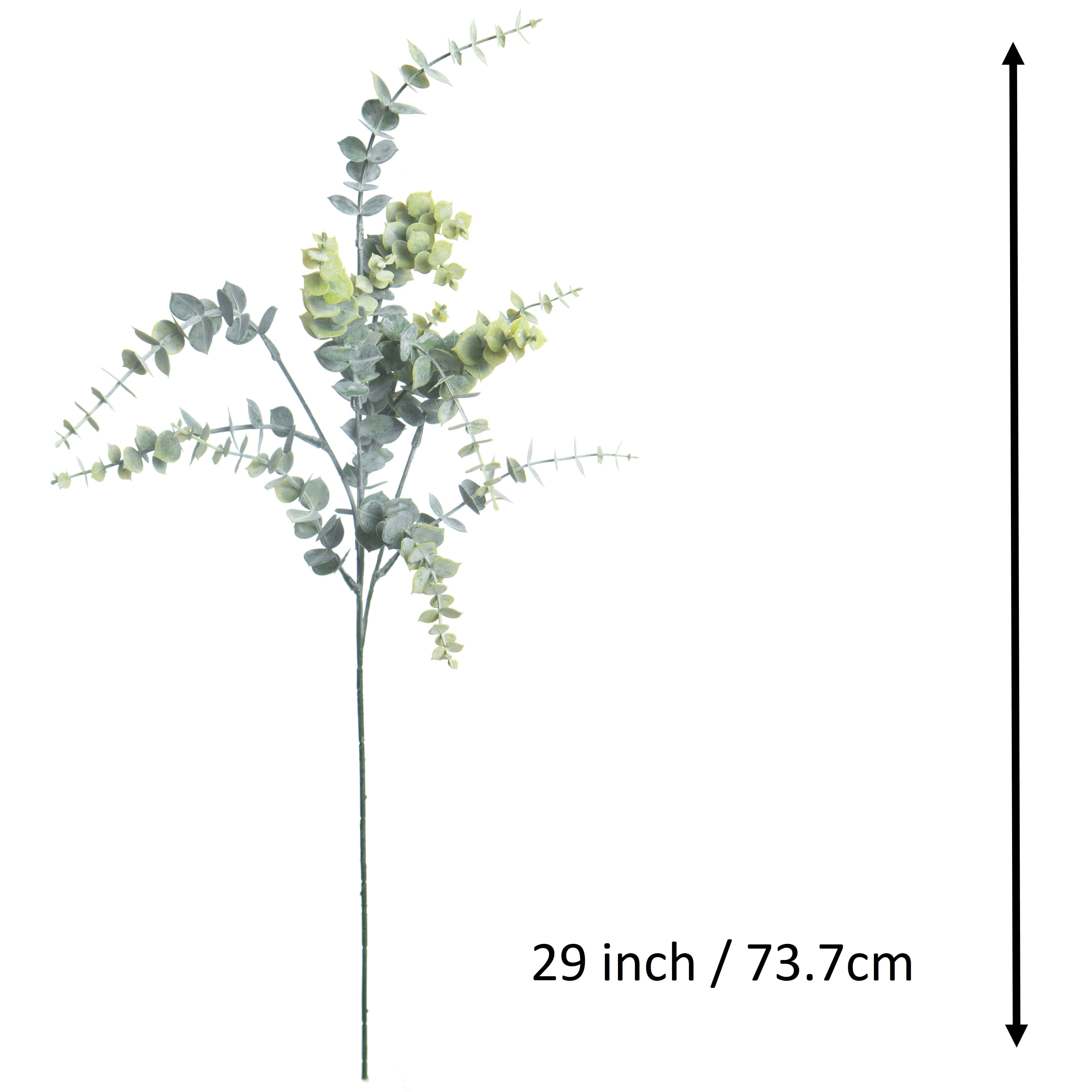 27&#x22; Fresh Green Mini Eucalyptus Stem by Ashland&#xAE;