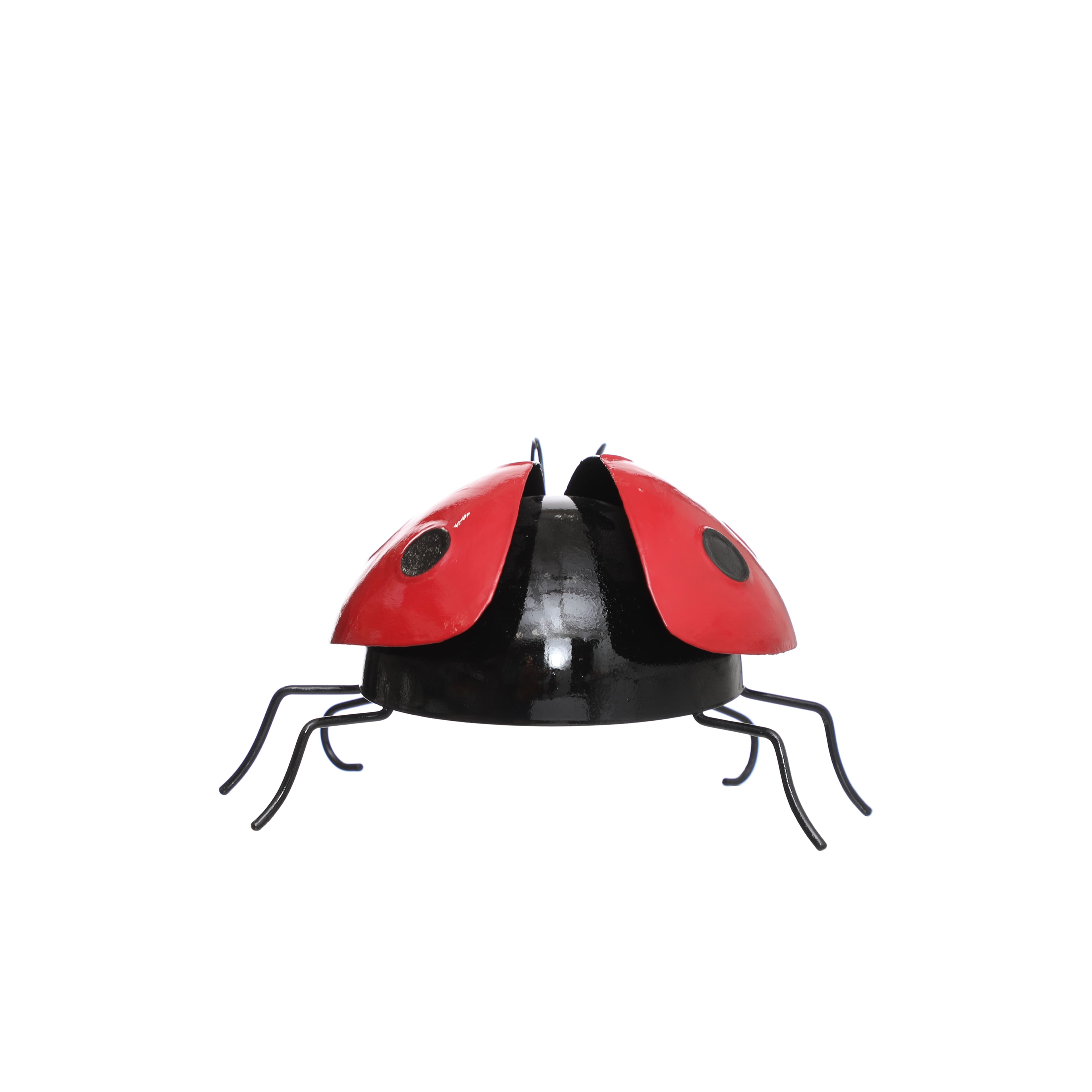 Coccinelle d&#xE9;corative de table, 19,1 cm d&#x27;Ashland