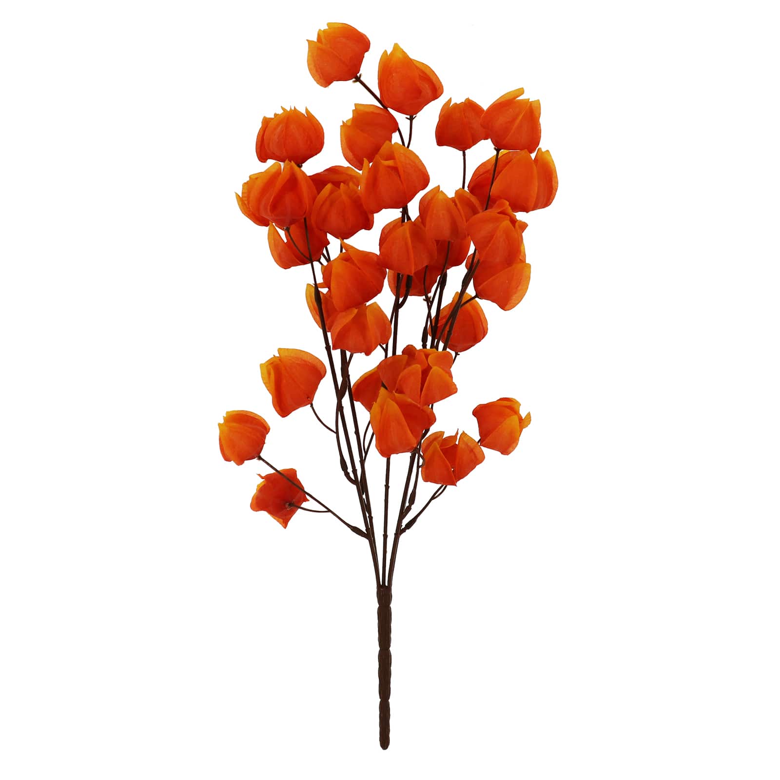 19&#x22; Basic Chinese Lantern Bush by Ashland&#xAE;
