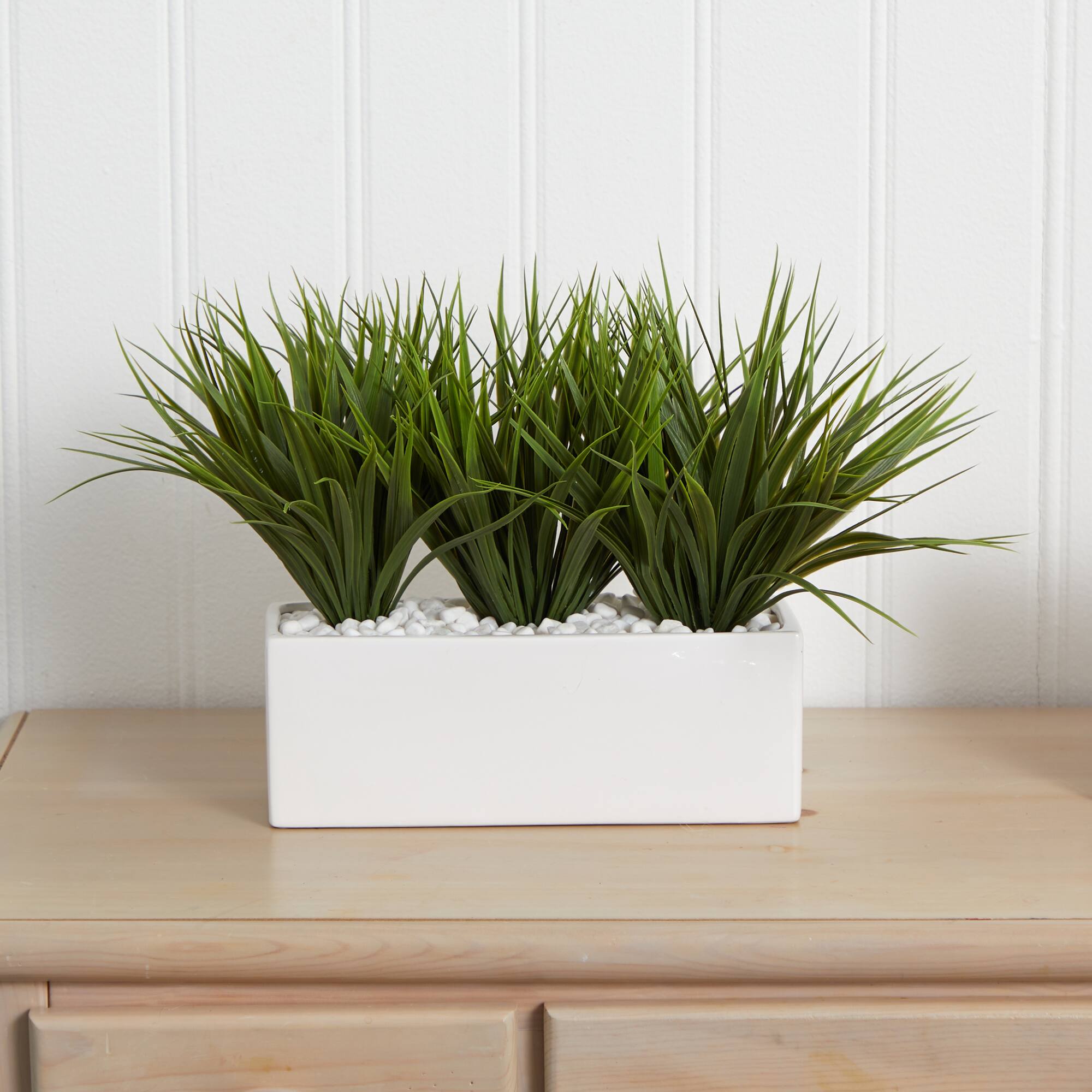 12" Vanilla Grass in White Rectangular Planter