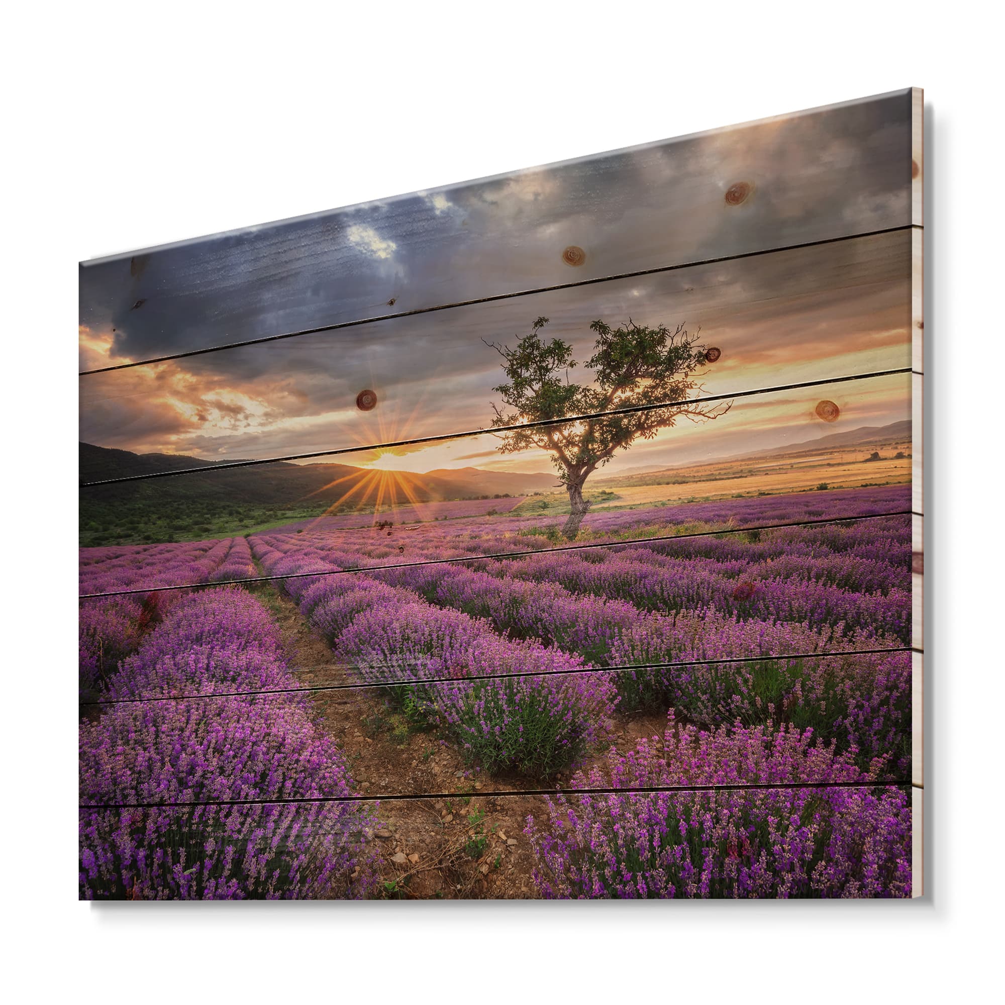 Designart - Sunrise &#x26; Dramatic Clouds Over Lavender Field VIII - Farmhouse Print on Natural Pine Wood