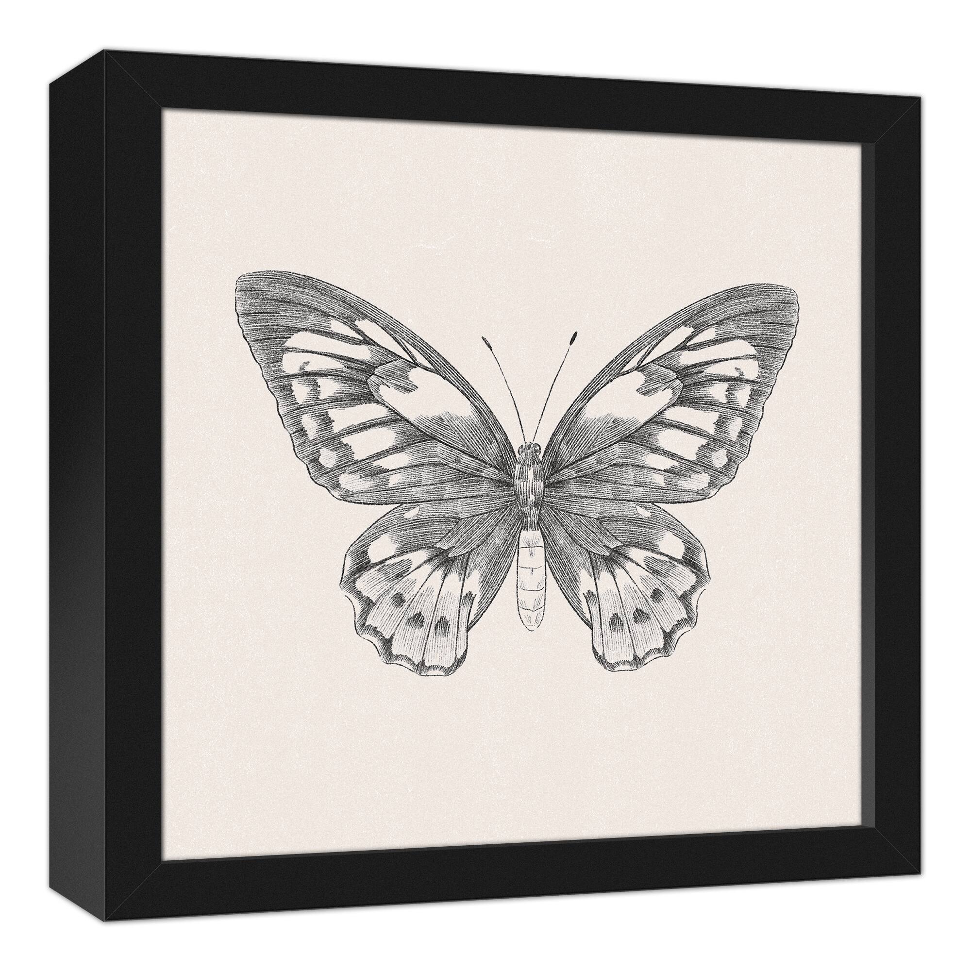 Butterfly Ink 13.73" x 13.73" Black Framed Canvas
