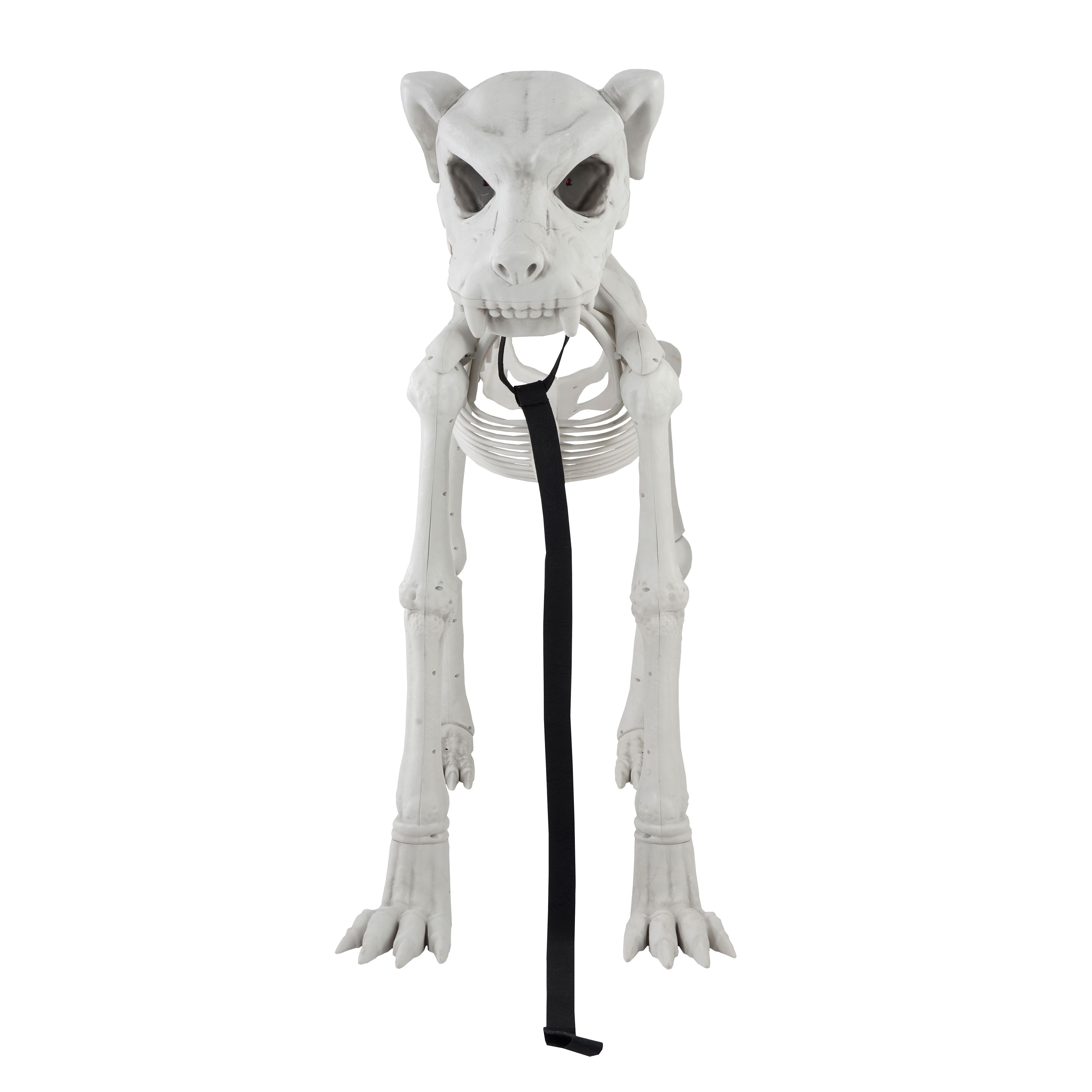 5ft. Poseable Dog Skeleton by Ashland&#xAE;