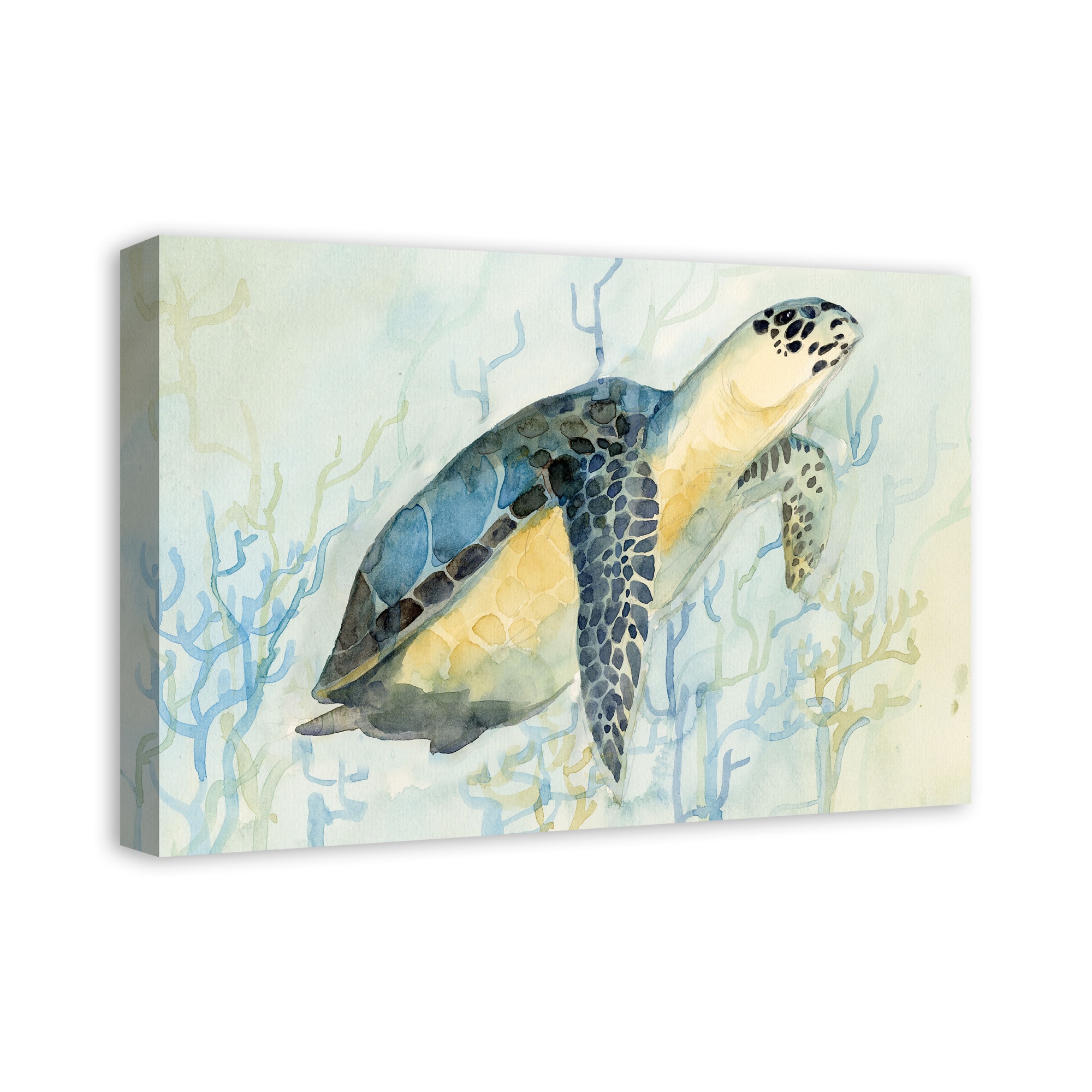 Sea Turtle 24" x 16" Canvas Wall Art
