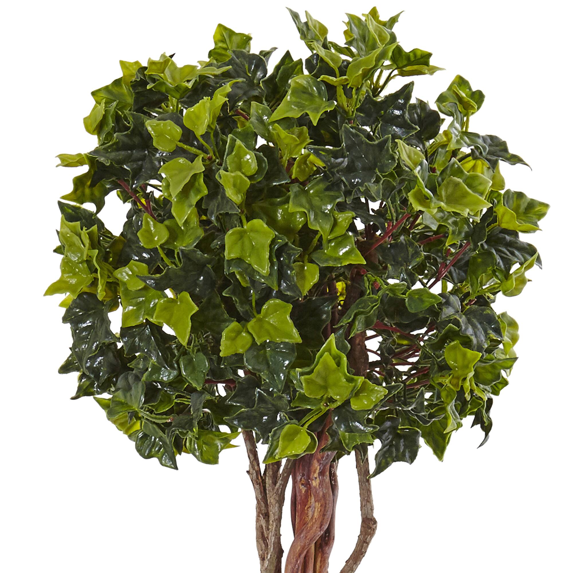 2.5ft. English Ivy Tree in Metal Planter