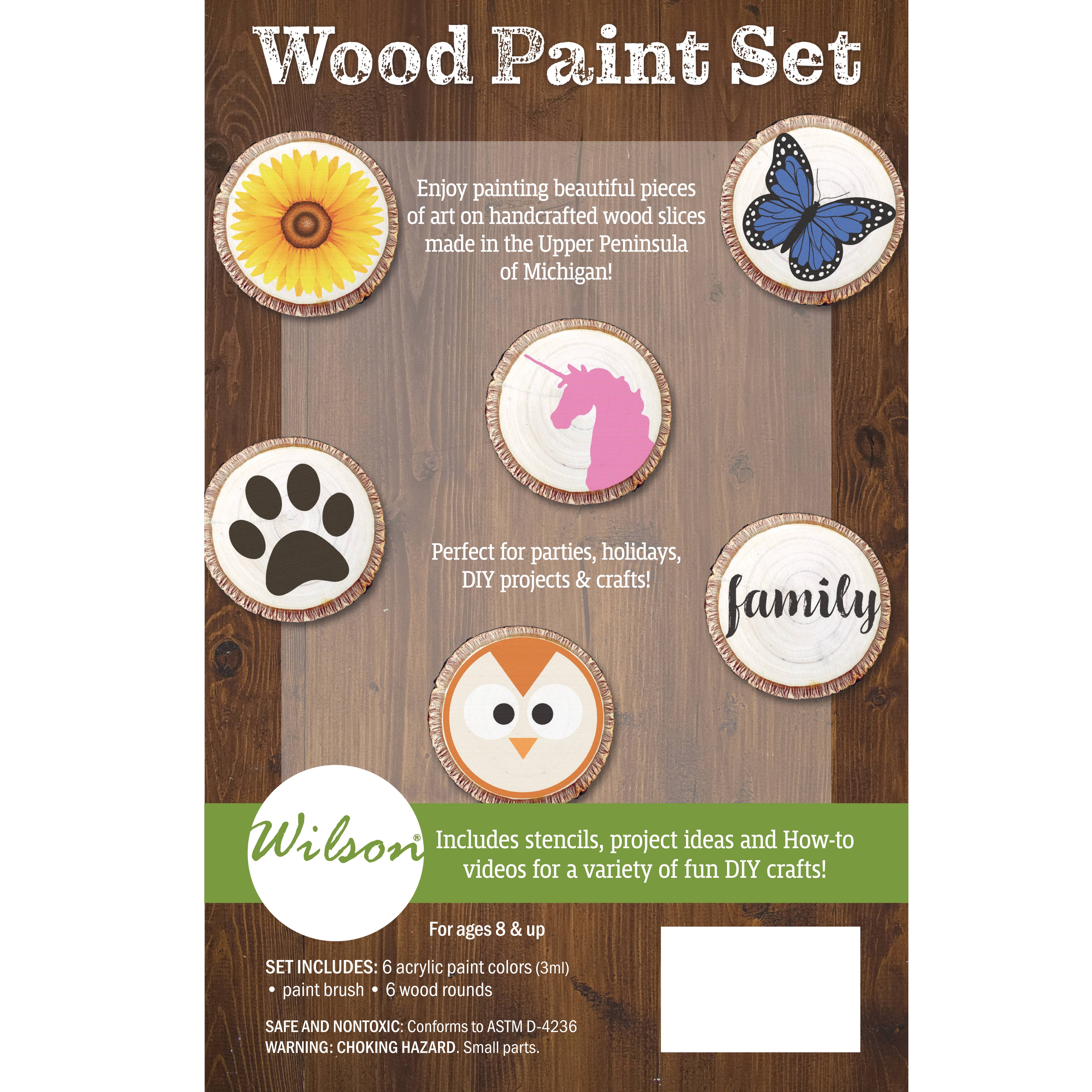 Wilson&#xAE; Enterprises Wood Paint Set