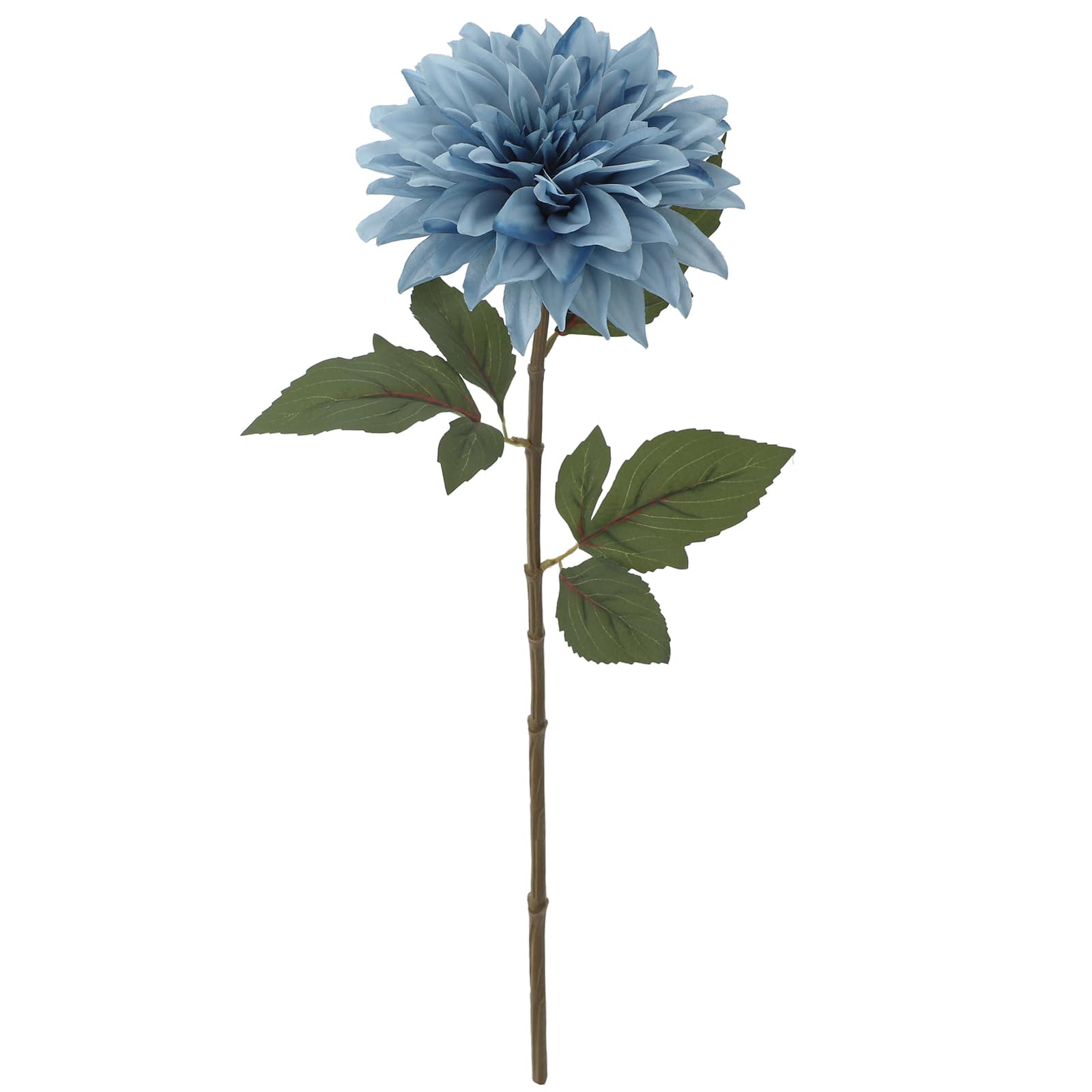 blue dahlia flower