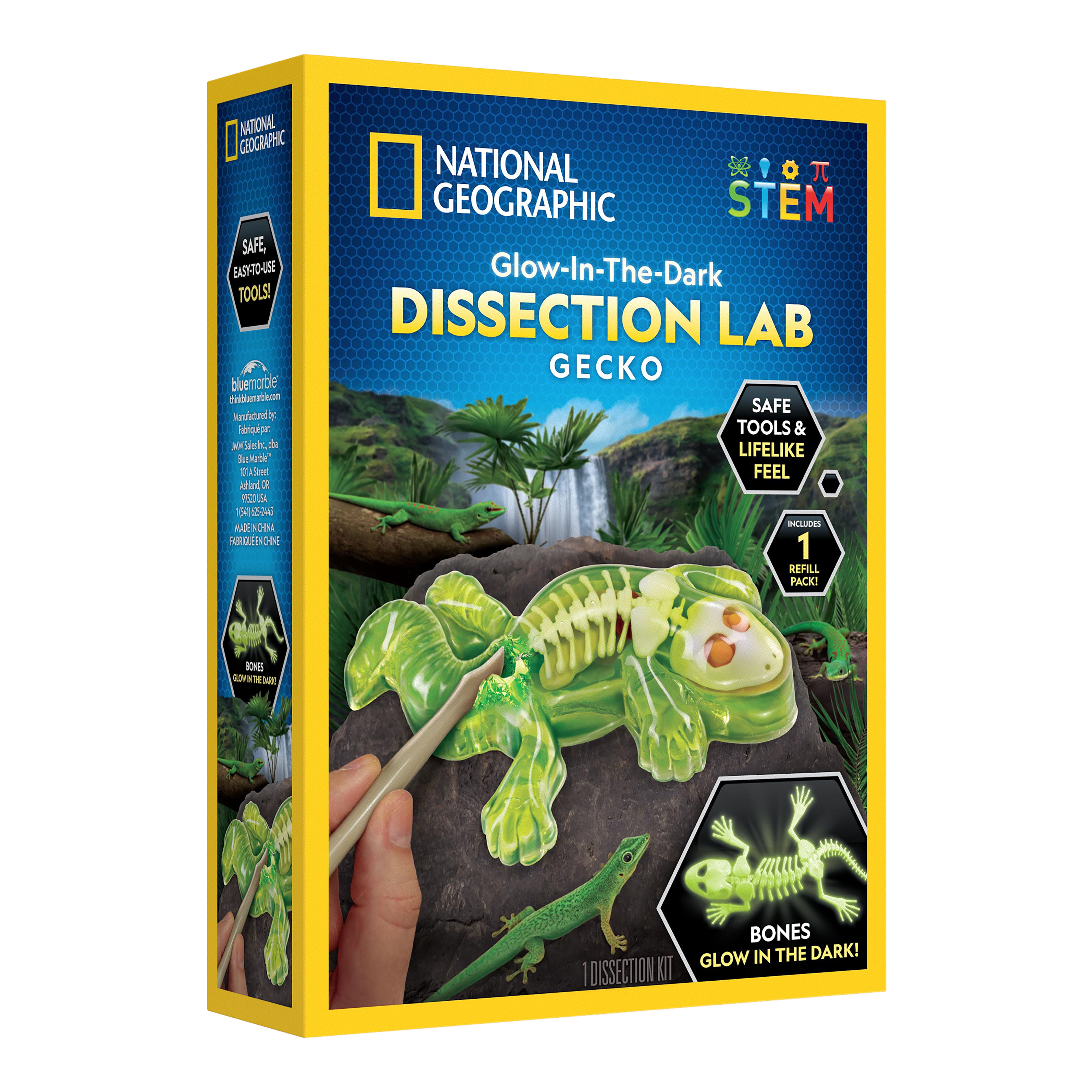 National Geographic&#x2122; Glow-in-the-Dark Gecko Dissection Lab