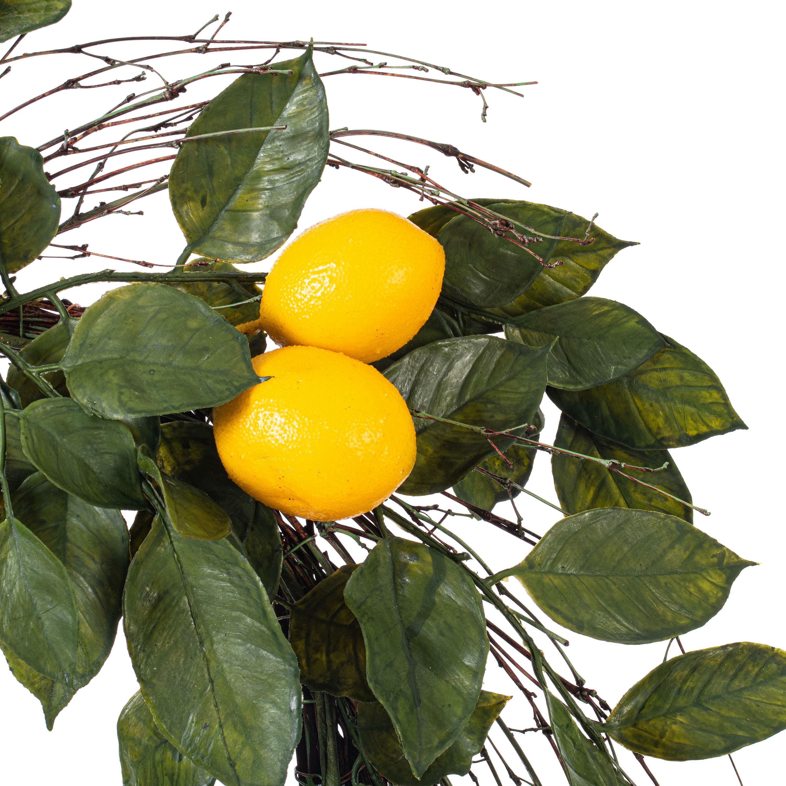 24&#x22; Green &#x26; Yellow Salal Leaf Lemon Wreath