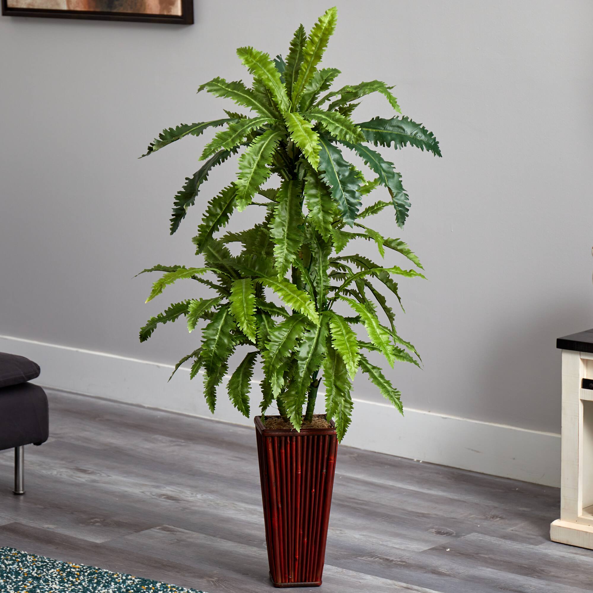 4.5ft. Dragon Tree with Bamboo Planter