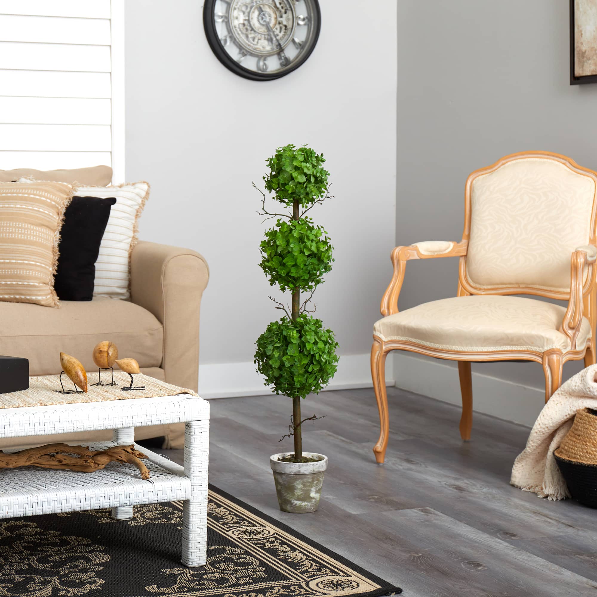 3ft. Potted Eucalyptus Triple Ball Topiary Tree