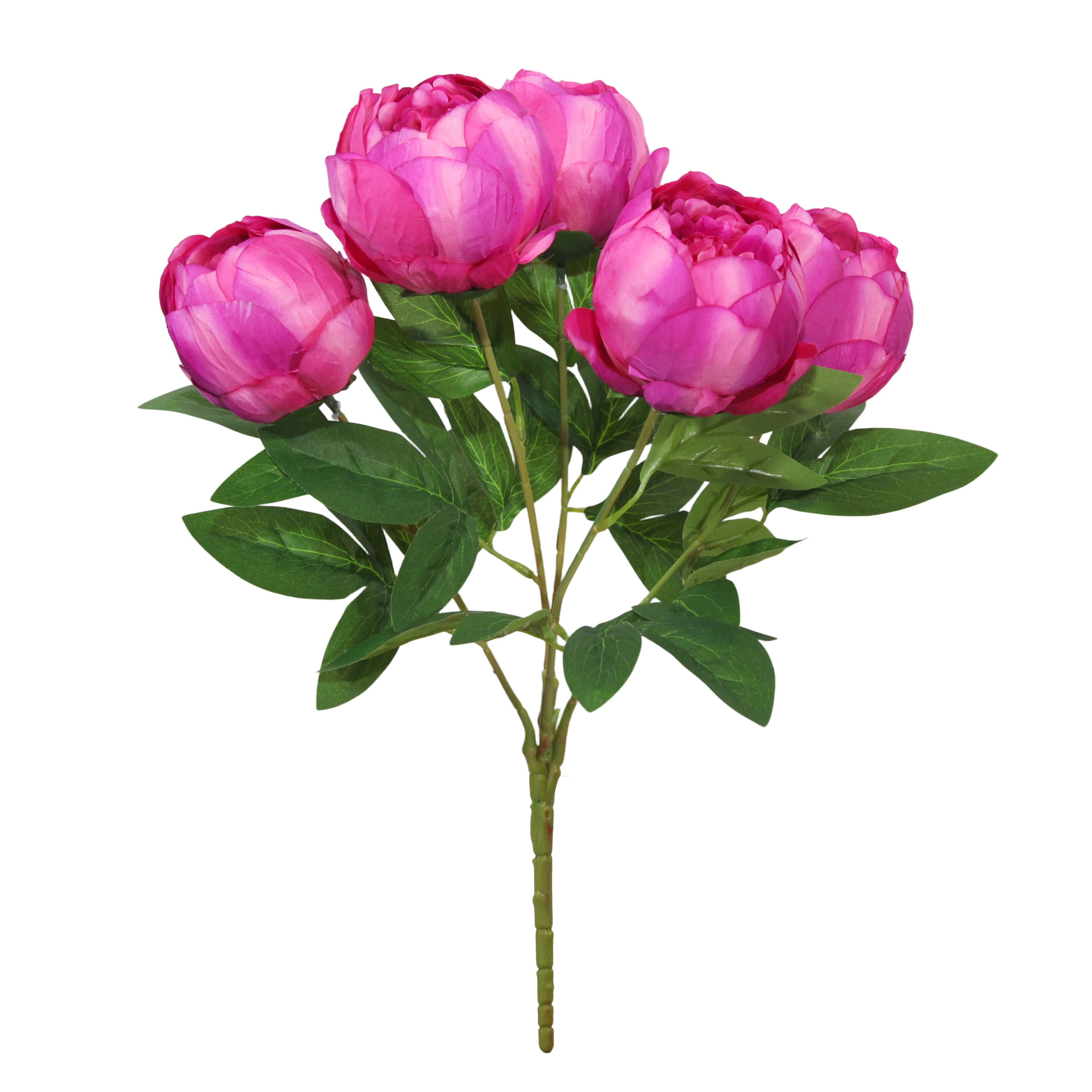 20" Dark Pink Deluxe Bush by Ashland®